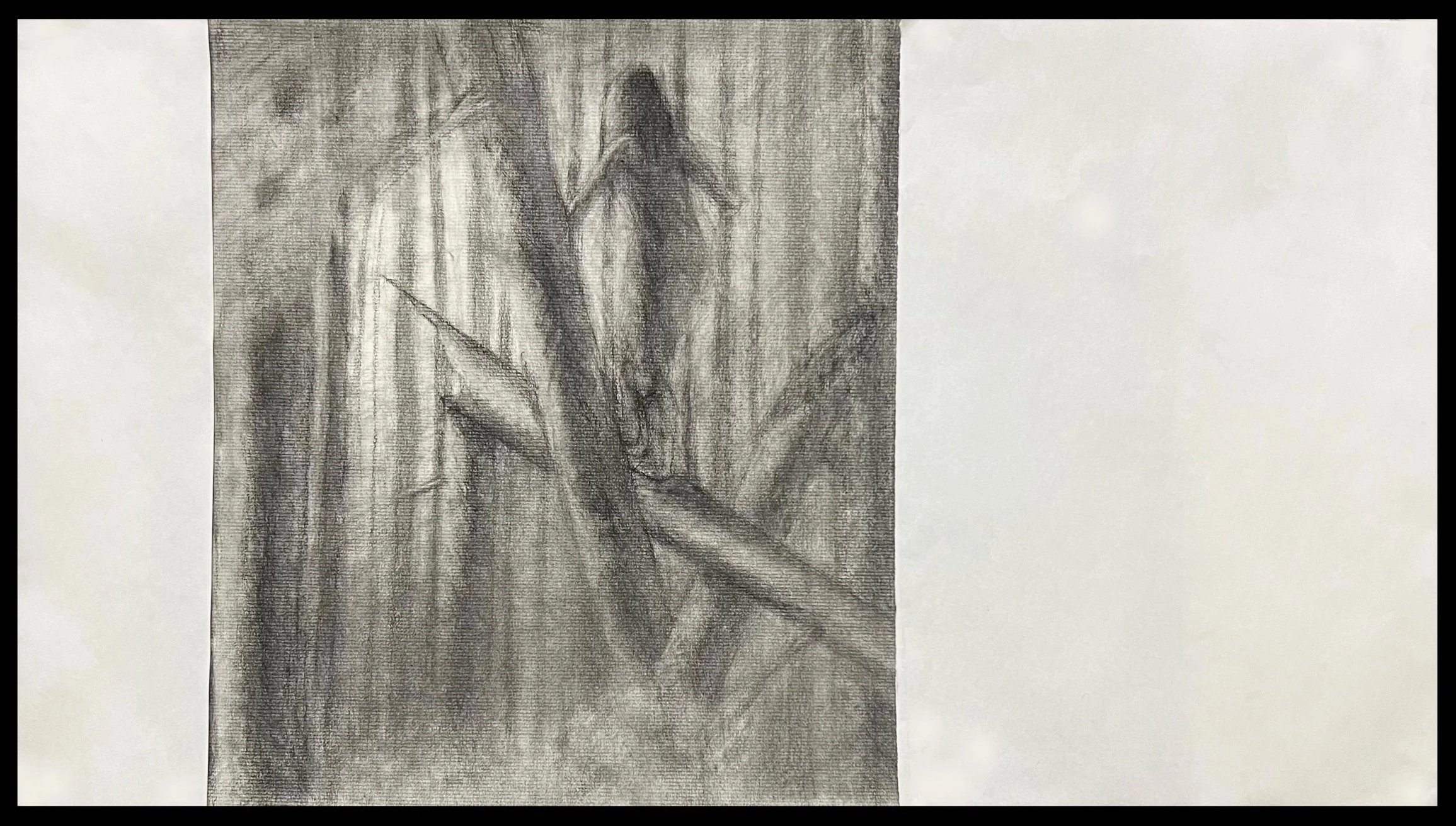 Muinín (Trust) - 2025, Charcoal on Paper, 17x27