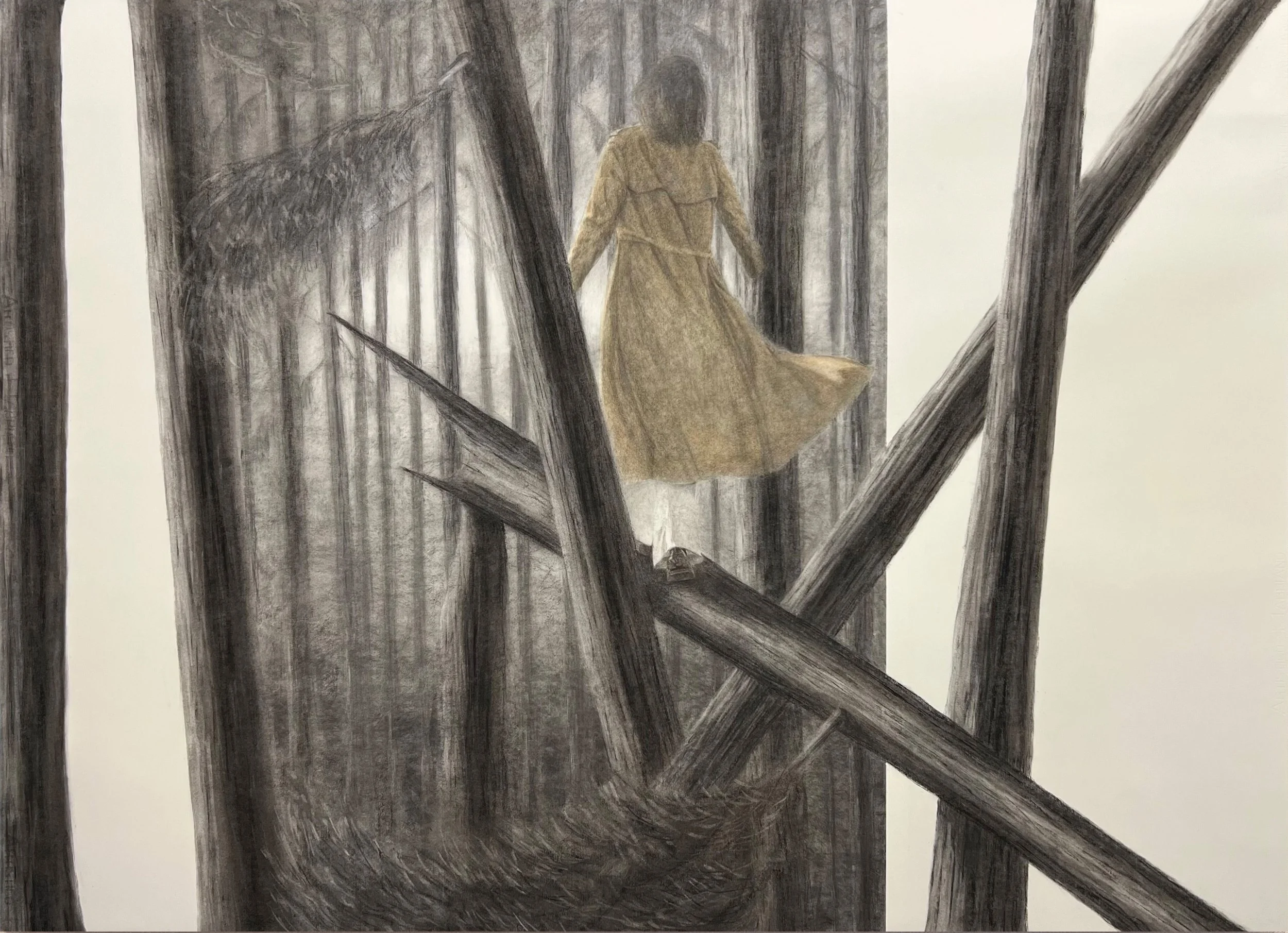 Creideamh (Faith) - 2025, Charcoal, Acrylic Paint & Pastel on Paper, 40x56
