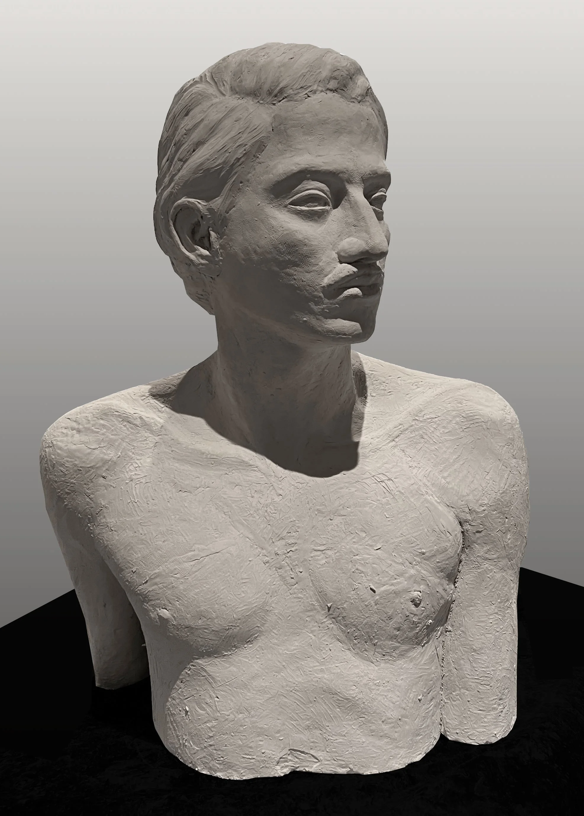 Bust-Front-2_72-DPI-web.jpg