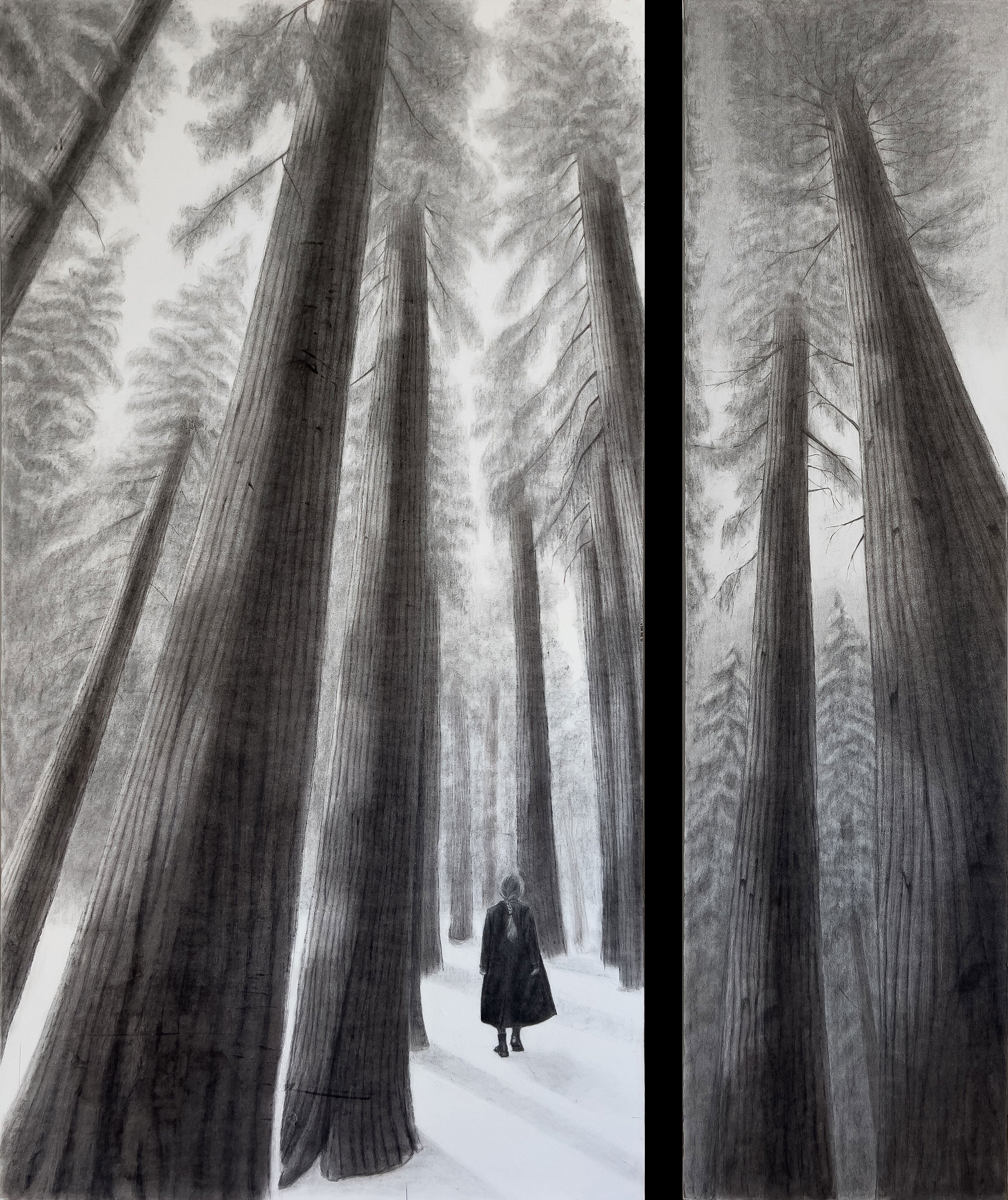 Aistear Inmheánach (Inner Journey) - 2026, Charcoal on Paper On Panel, 69x54