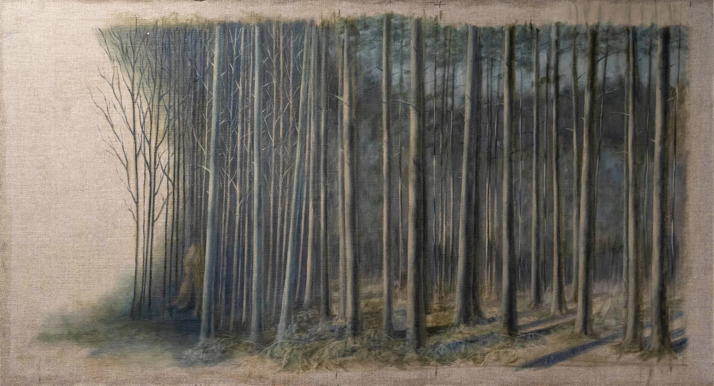 What The Forest Holds