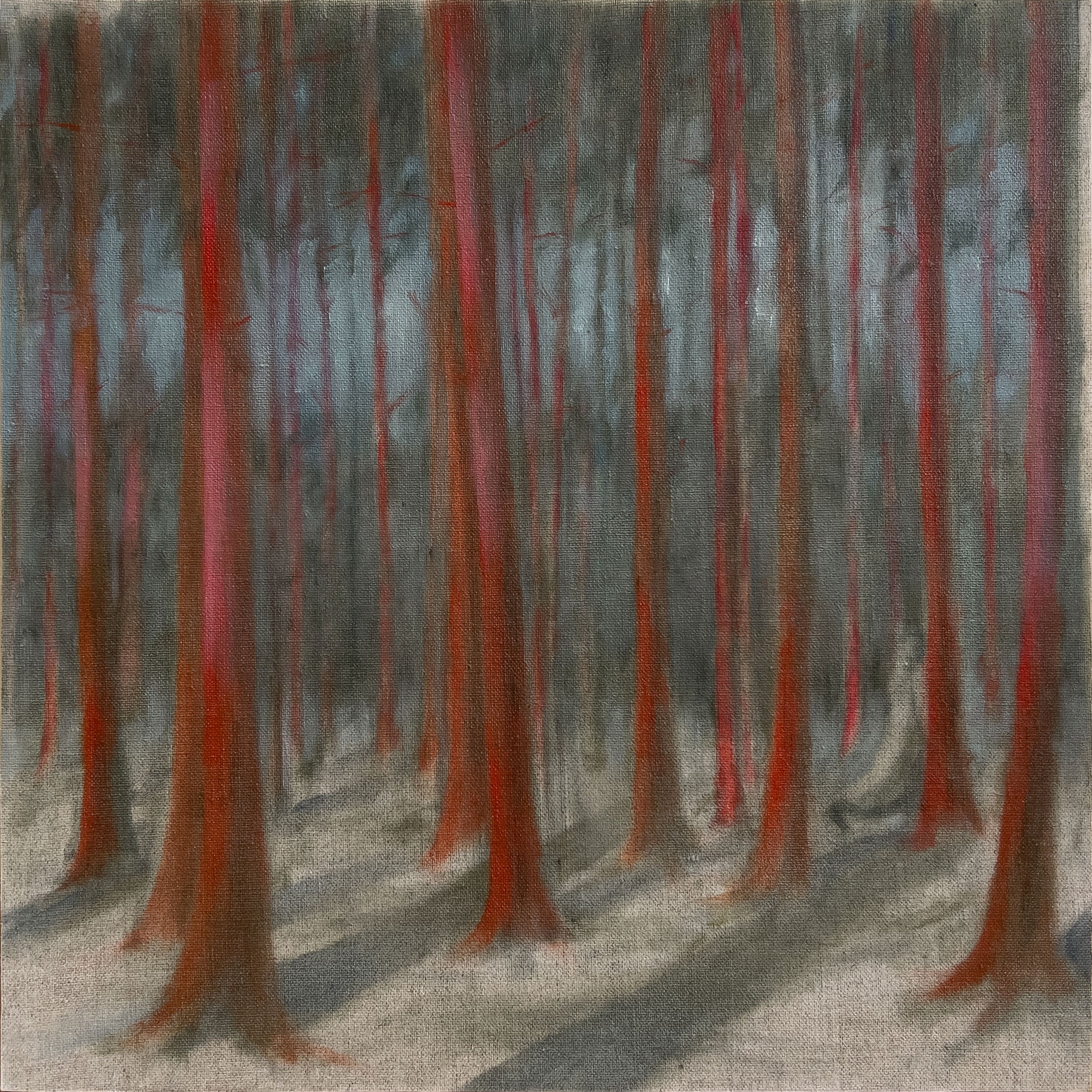 Scáthanna (Shadows) - 2026, Oil on Linen, 16x16