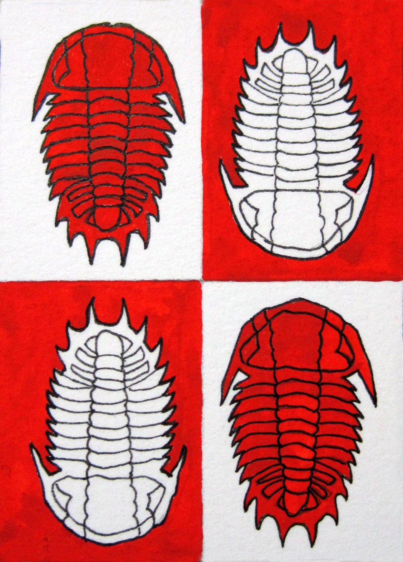 Realm of the Trilobites