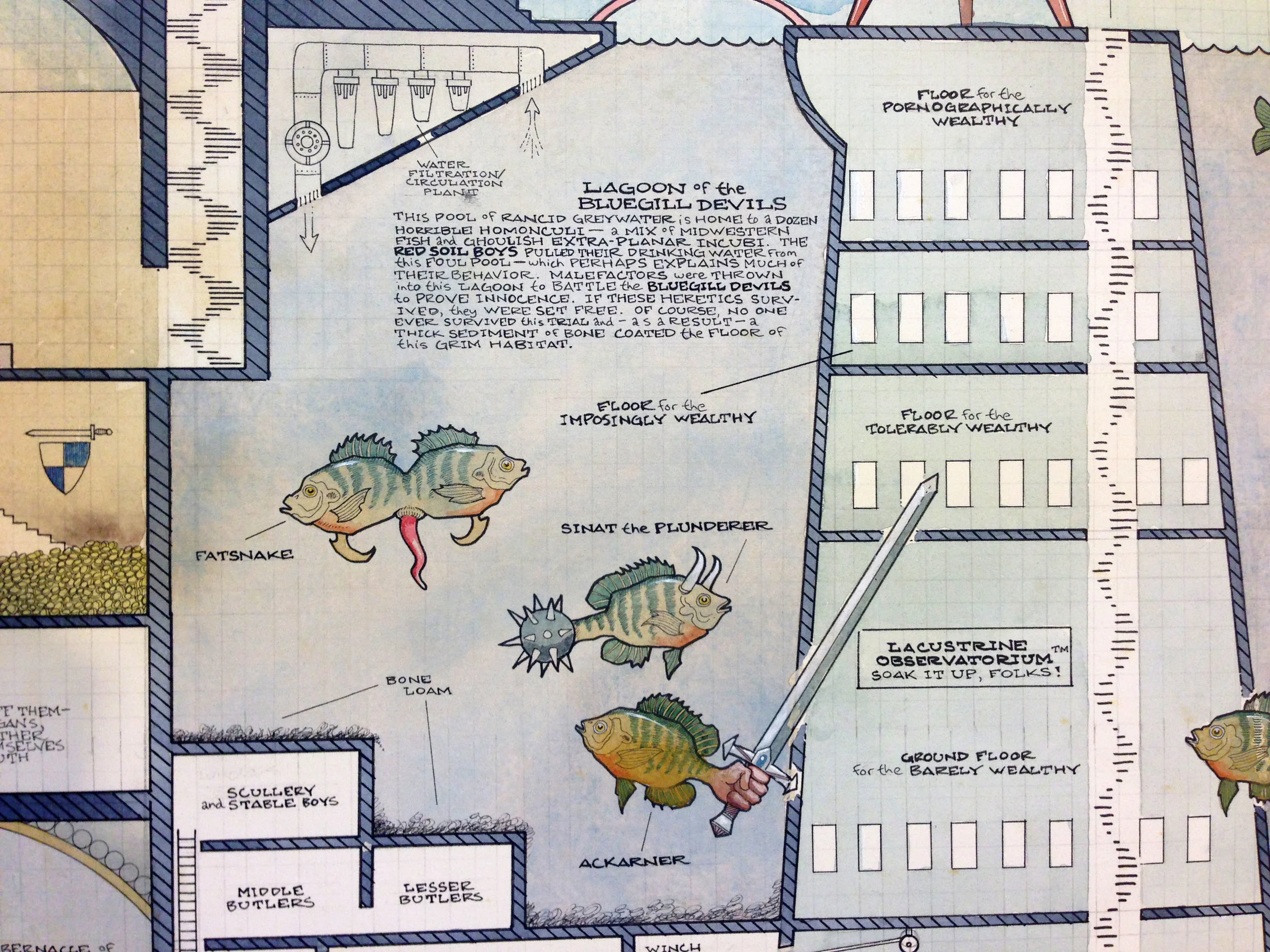 BlueGill_detail1.jpg