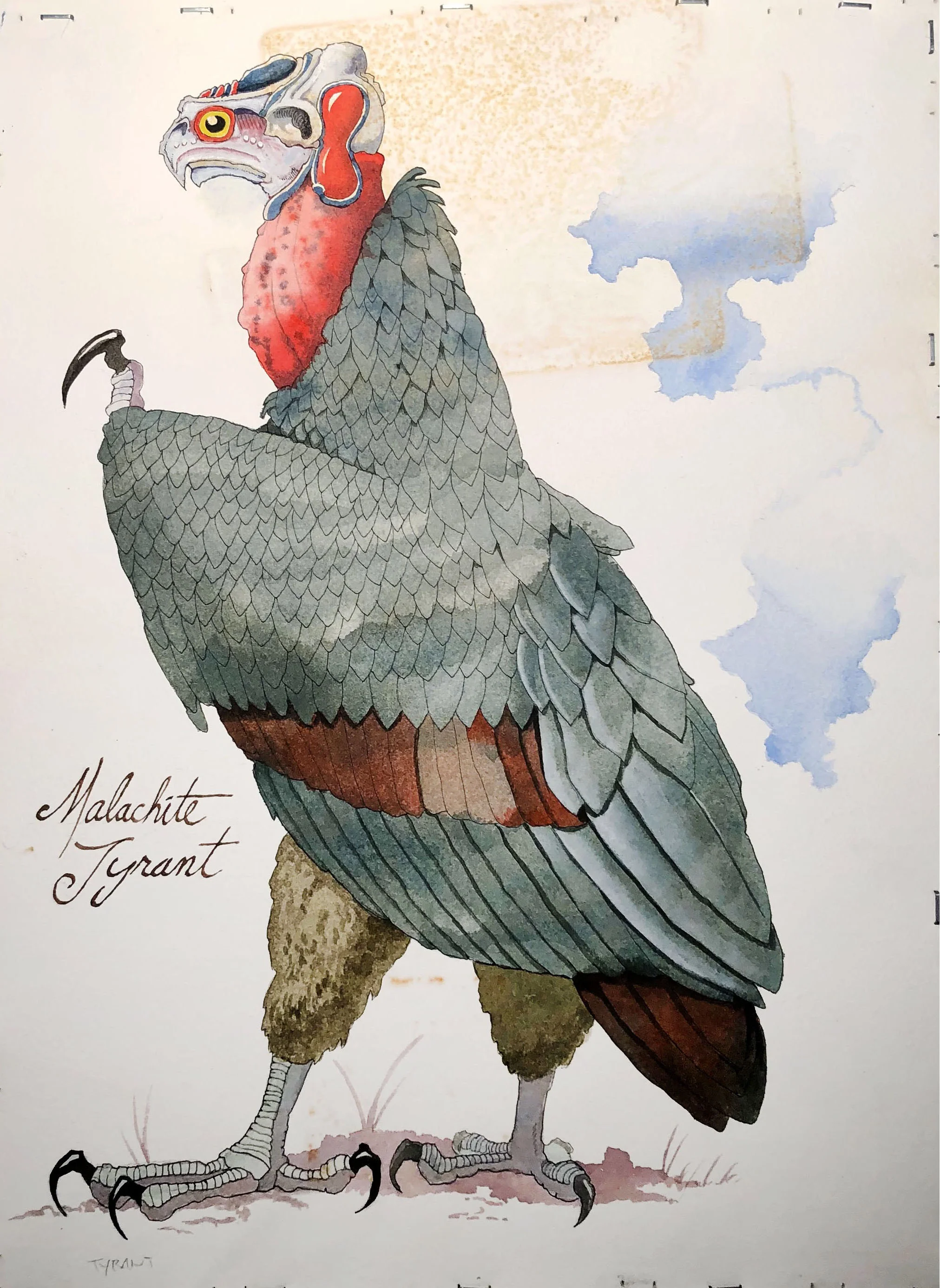 Malachite Tyrant