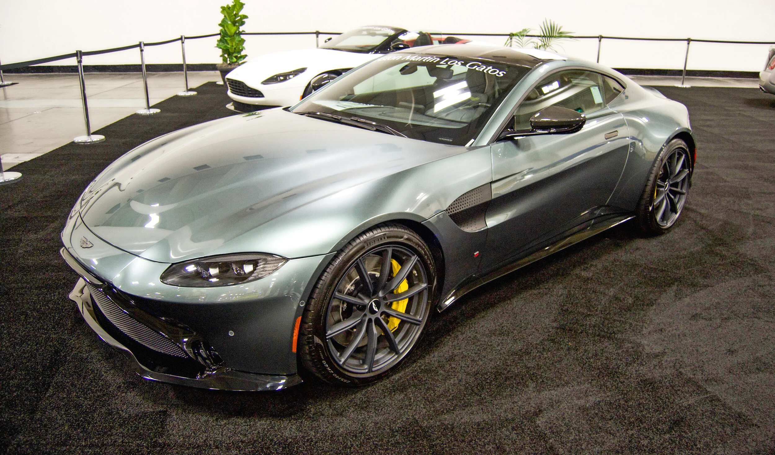 DSC_0038_edited-1.jpg