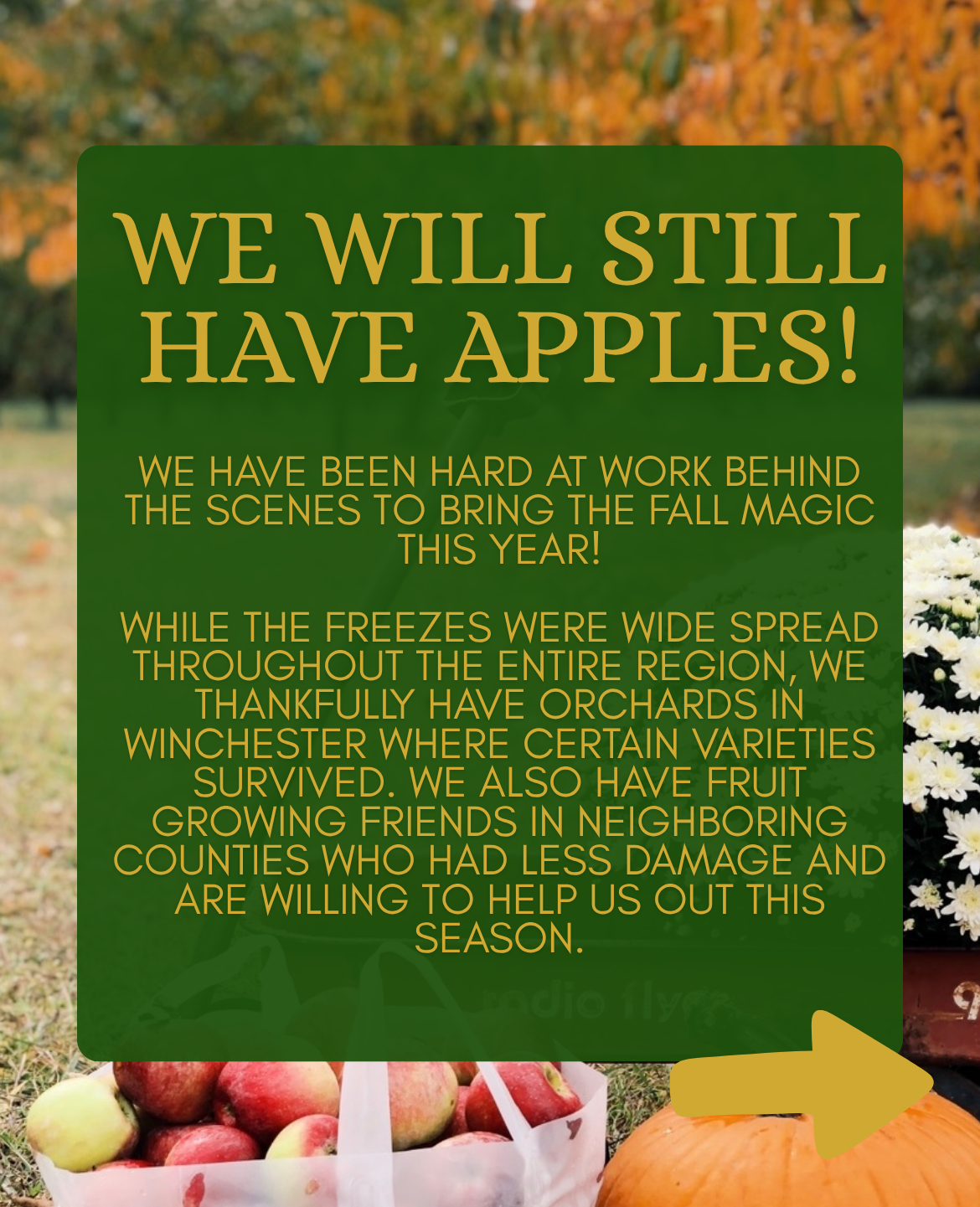 Copy of Copy of A 2026 fall update.PNG