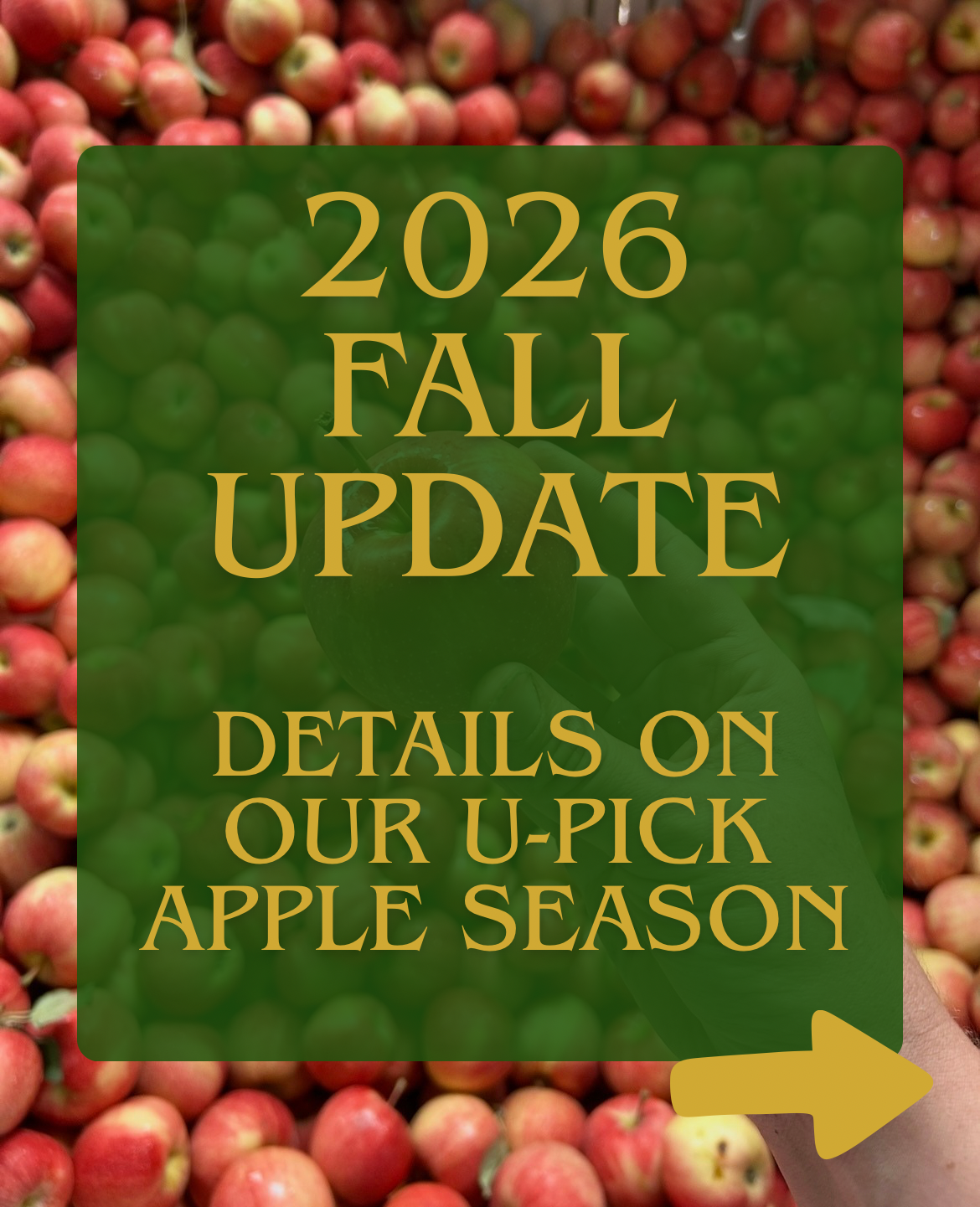 A 2026 fall update.PNG