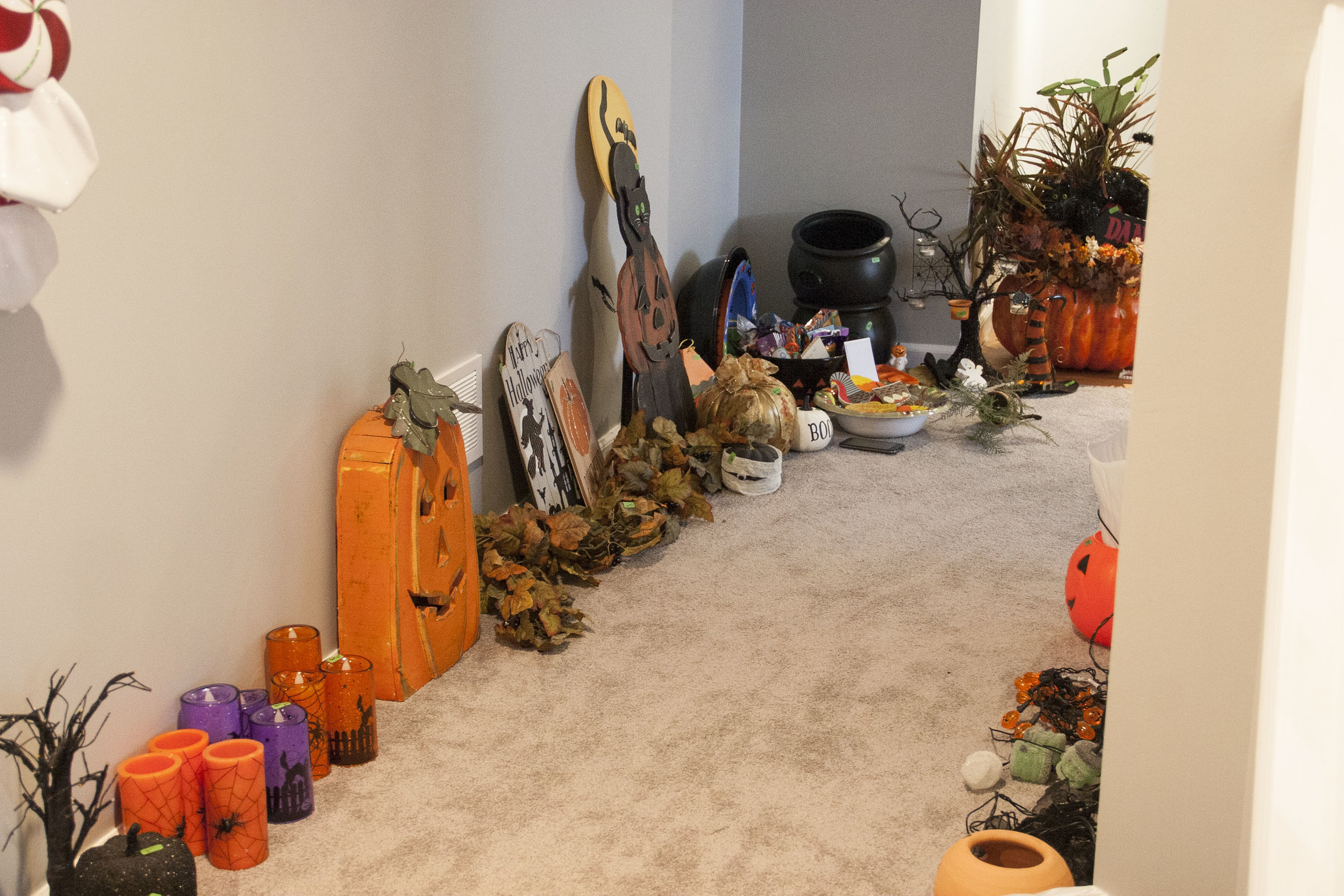 _MG_0145.jpg