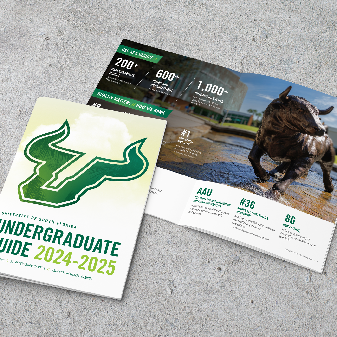 usf-admissions-brochure-mock-thumb.png