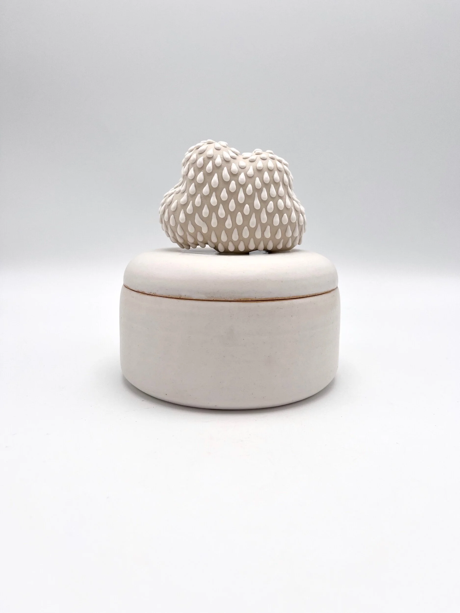 71E1E798-4D96-4AE4-82C1-7860EBA7D88F