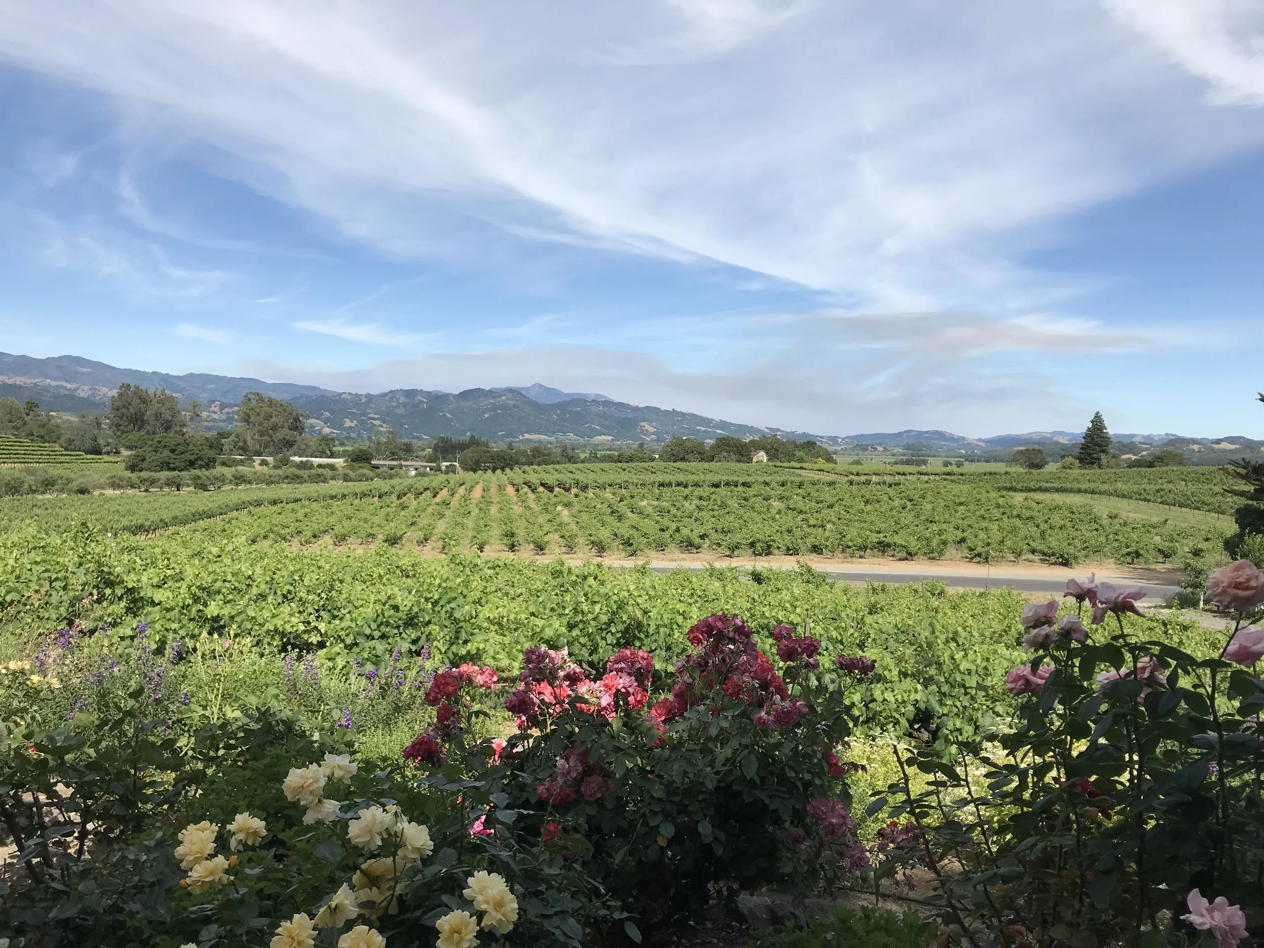 Napa Valley, California