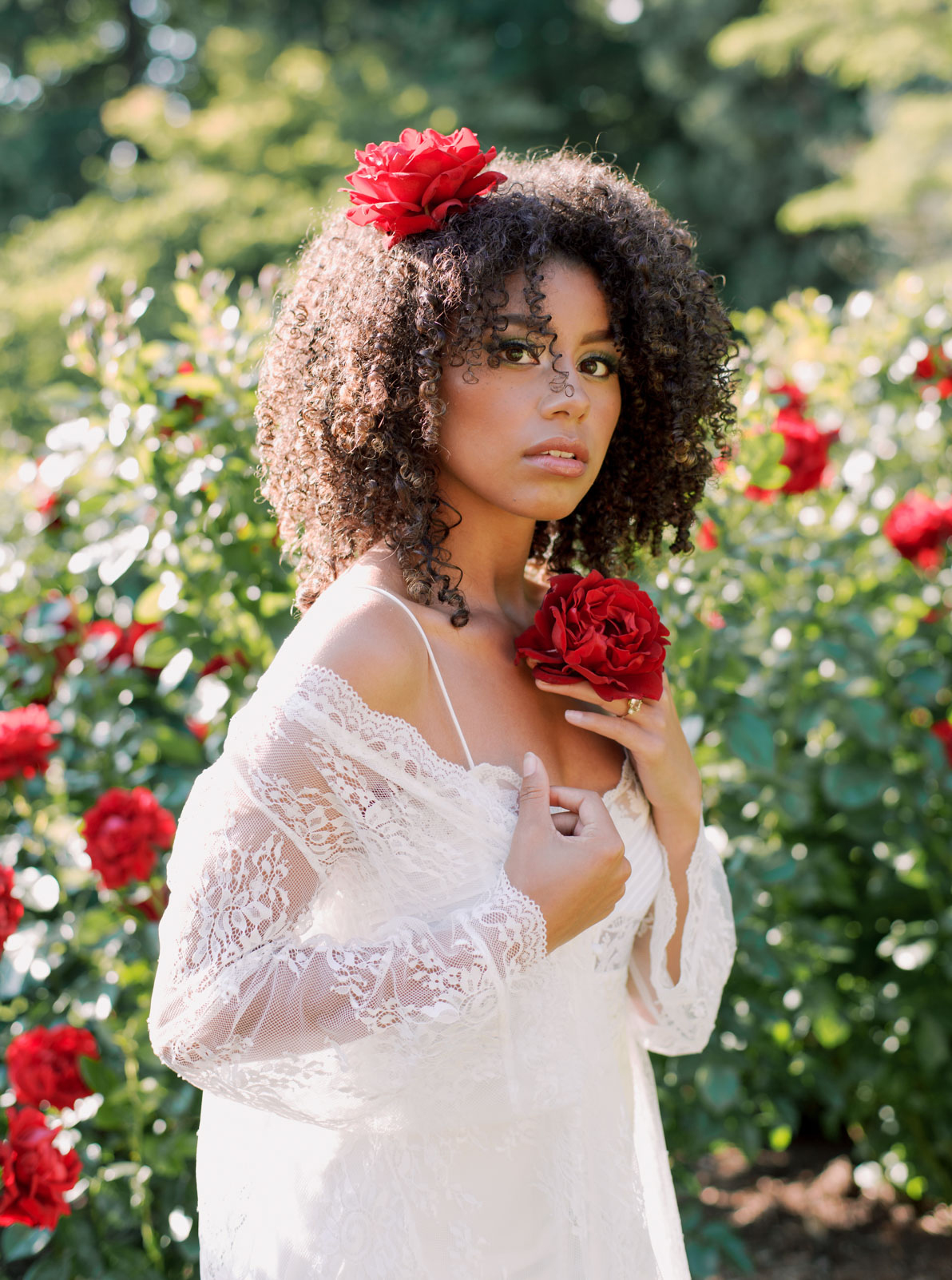 Stanley Park Rose Garden Boudoir