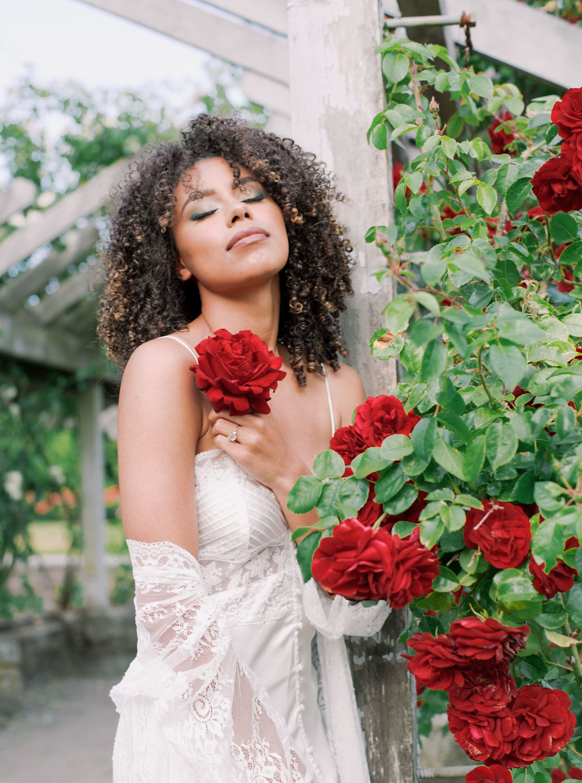 Stanley Park Rose Garden Boudoir