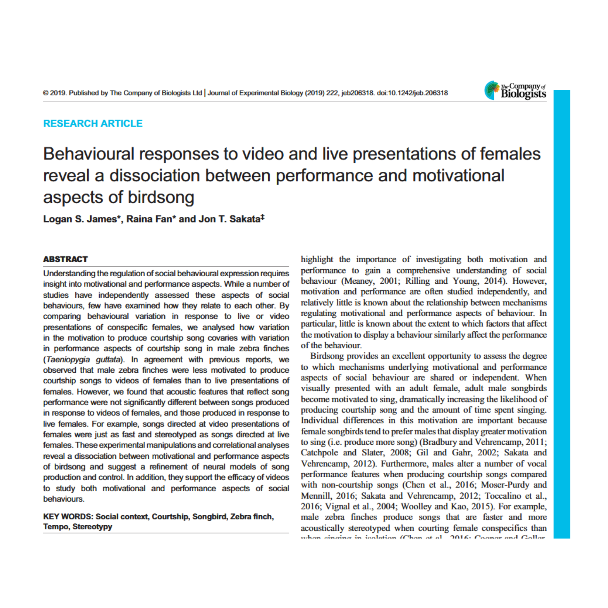 Bird song and motivation