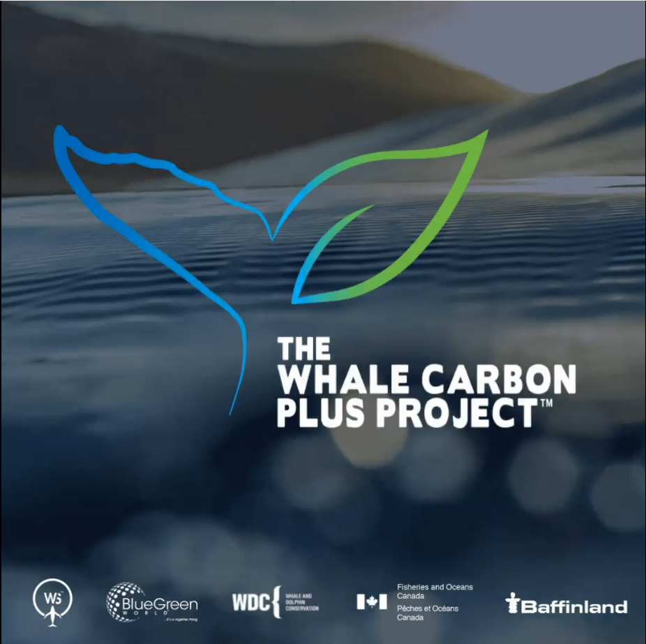 The Whale Carbon+ Project