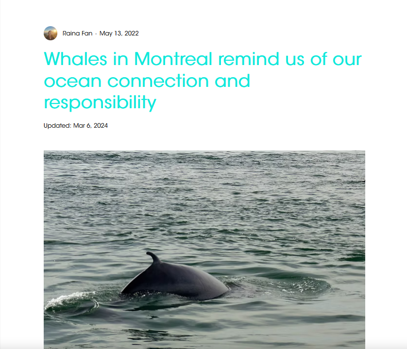 Whales in Montréal