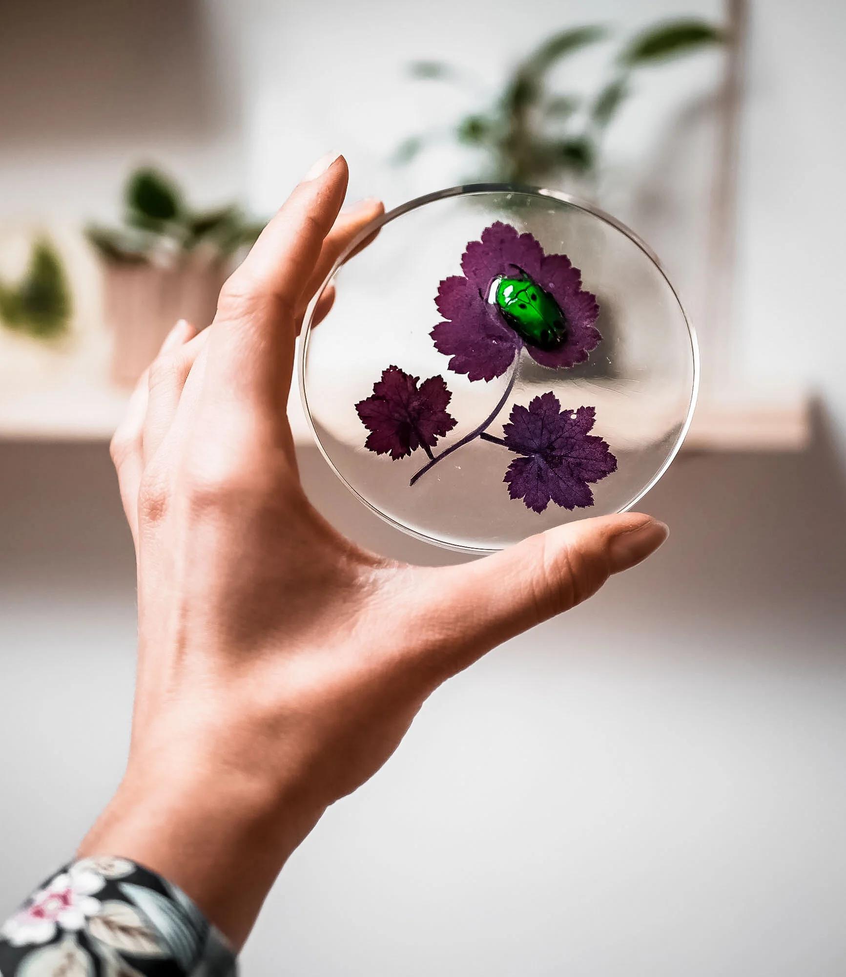 Trio violet& Scarabé vert2.jpg