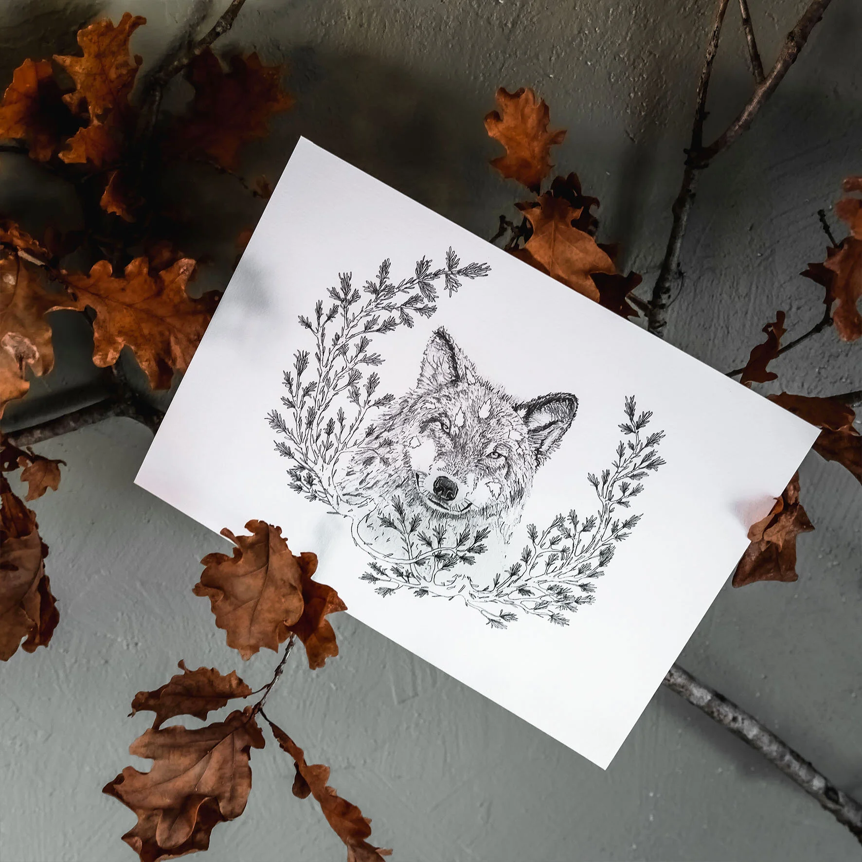 Louve &amp; Feuillage