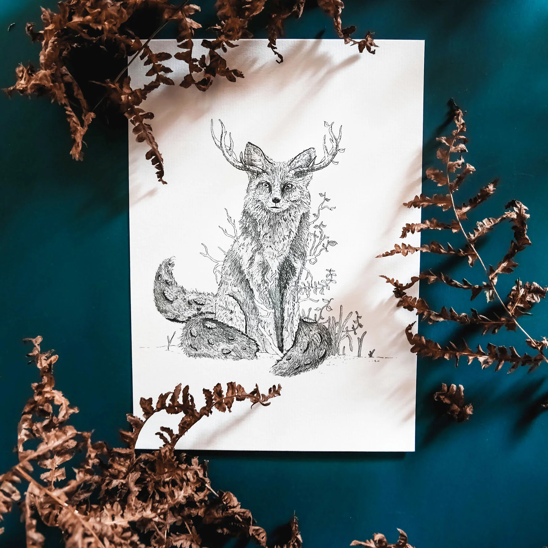 Renard &amp; Chimère