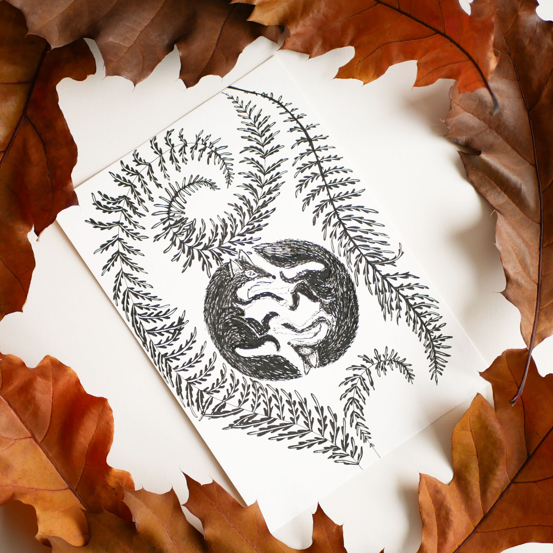 La danse des Renards