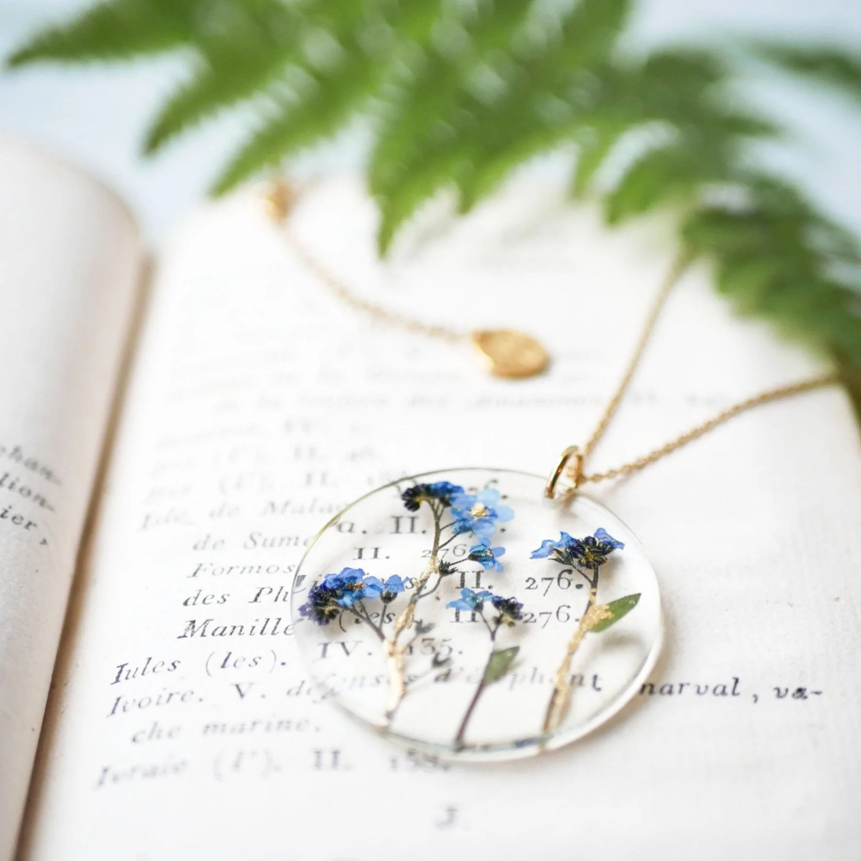 Myosotis1-min.jpg