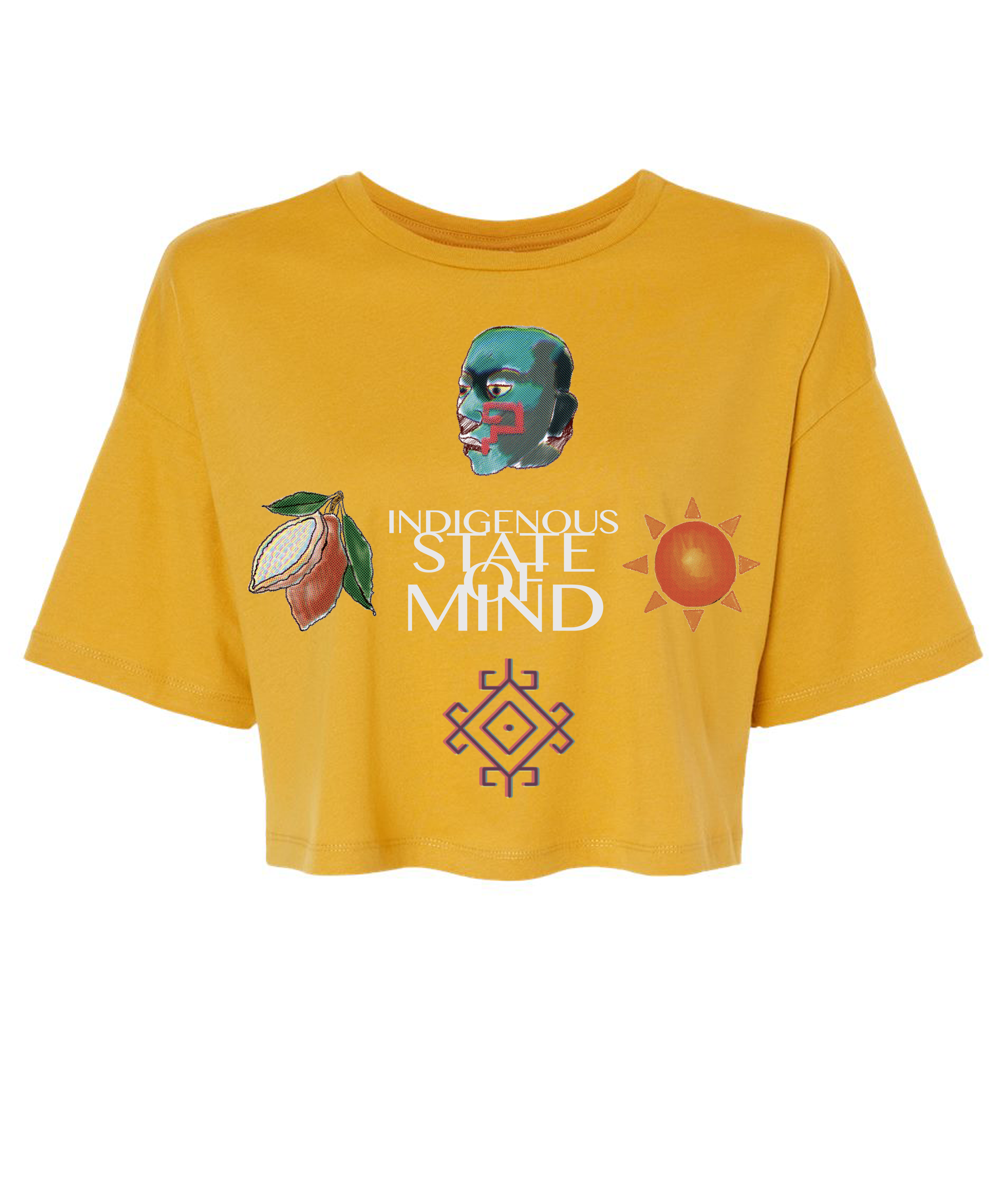 INDIGENOUS 4 ELEMENTS CROP.png
