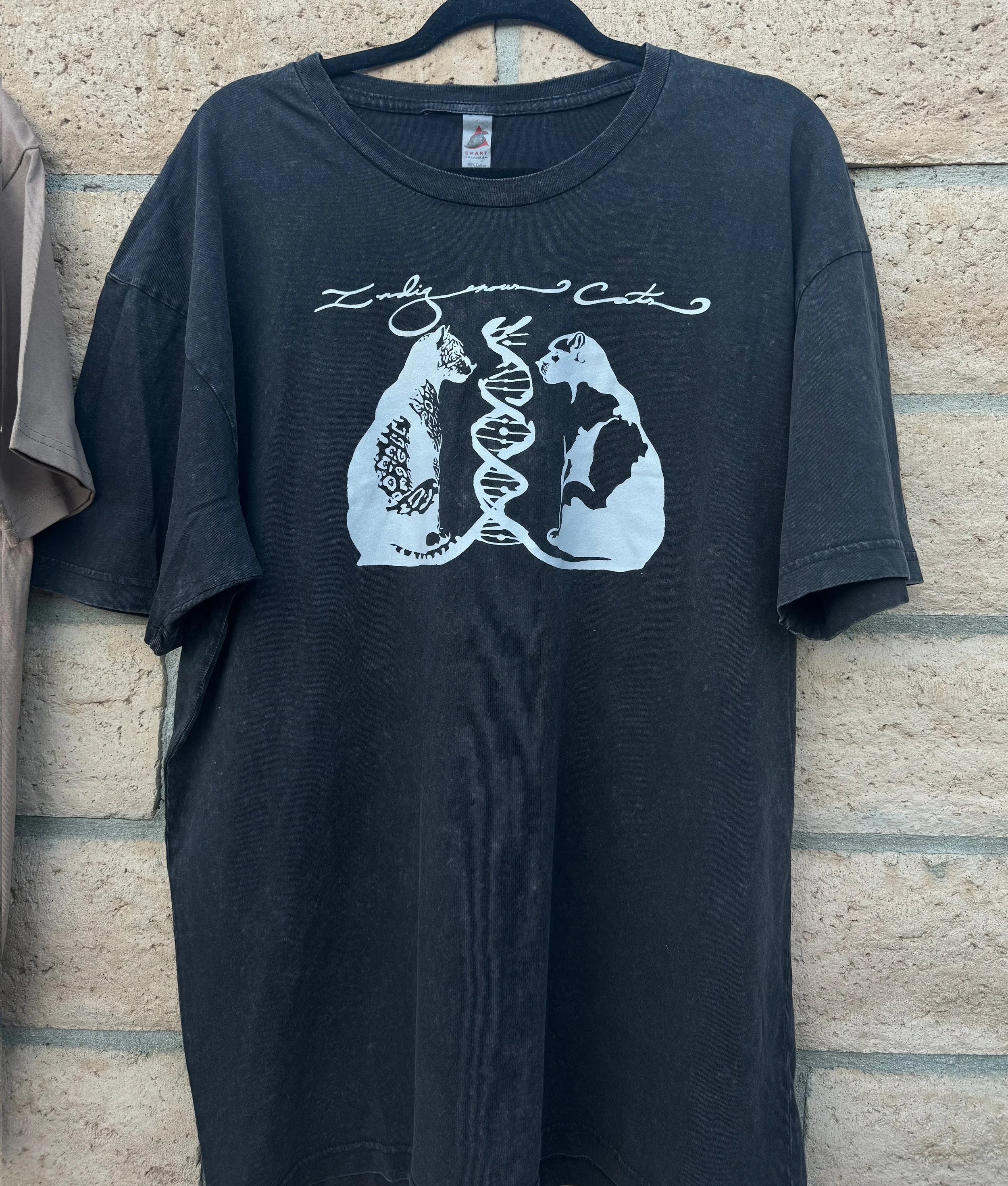 JAG & PUMA DNA real life.jpg