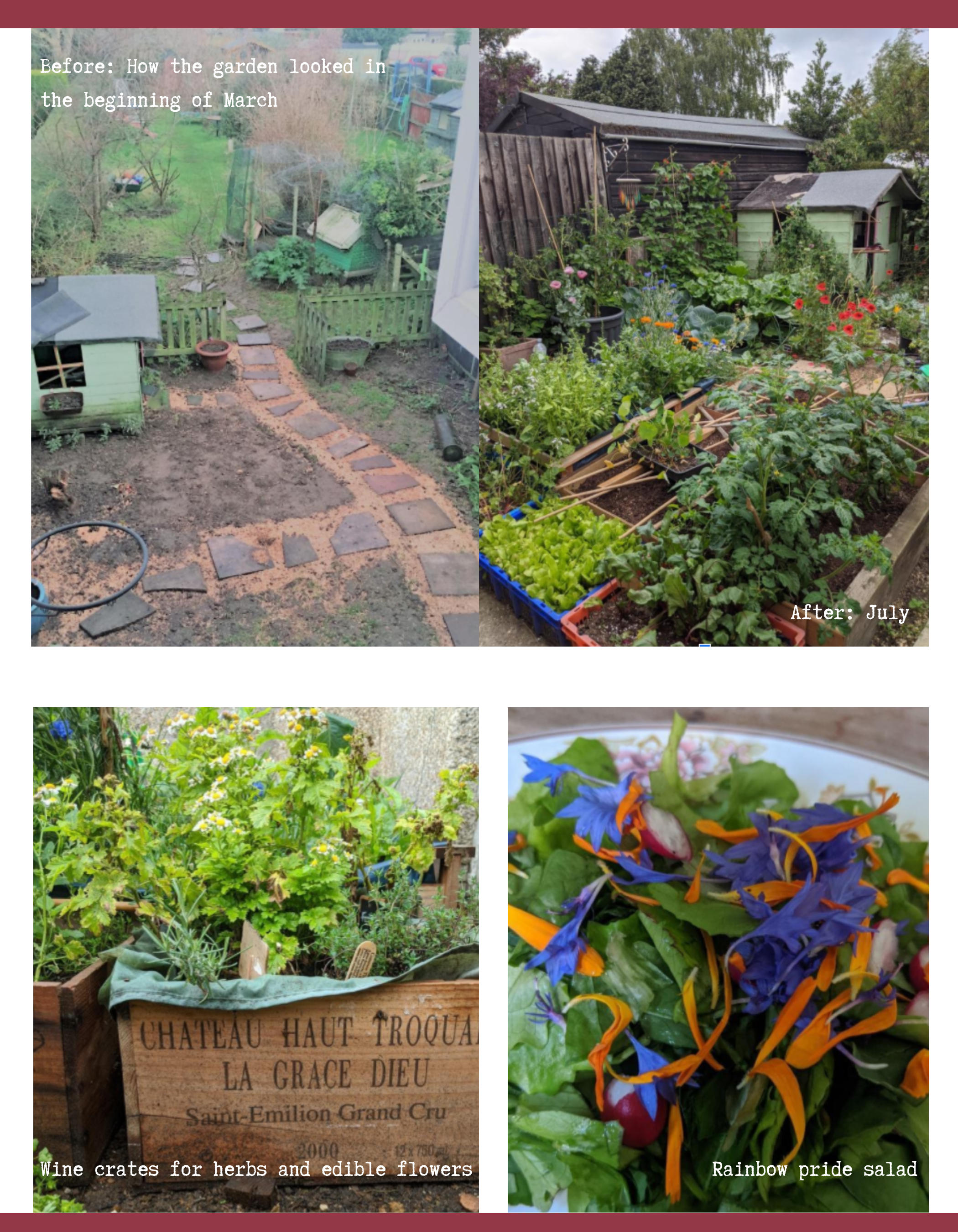 Before: How the garden looked in the beginning of March (View from upstairs window of dirt, a small play house, a stone path and trees with no leaves and a chicken run.) After: July (Picture: Garden in full bloom with tomatoes, various edible flower…