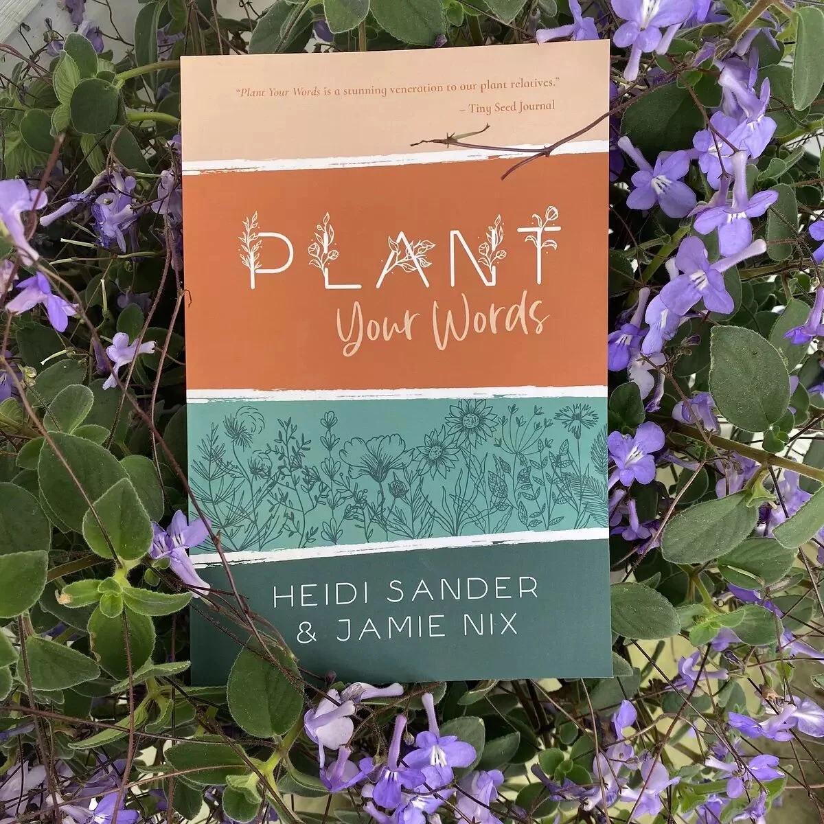 1D3C1498-106A-4FCB-9611-E7ABA9B32C63