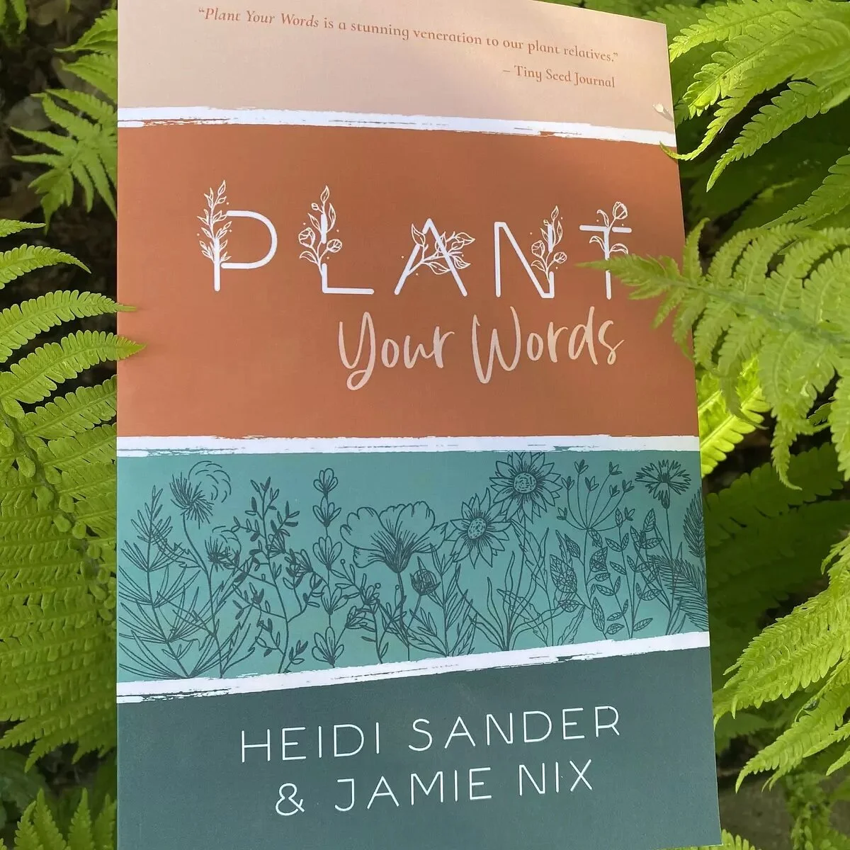 92A64251-C203-4B2C-882E-B433A830C0E2