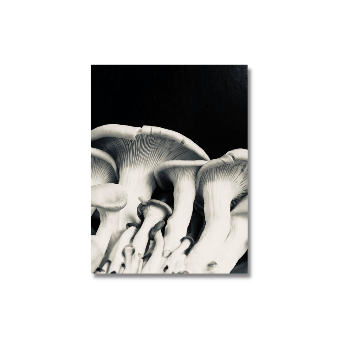 51.png