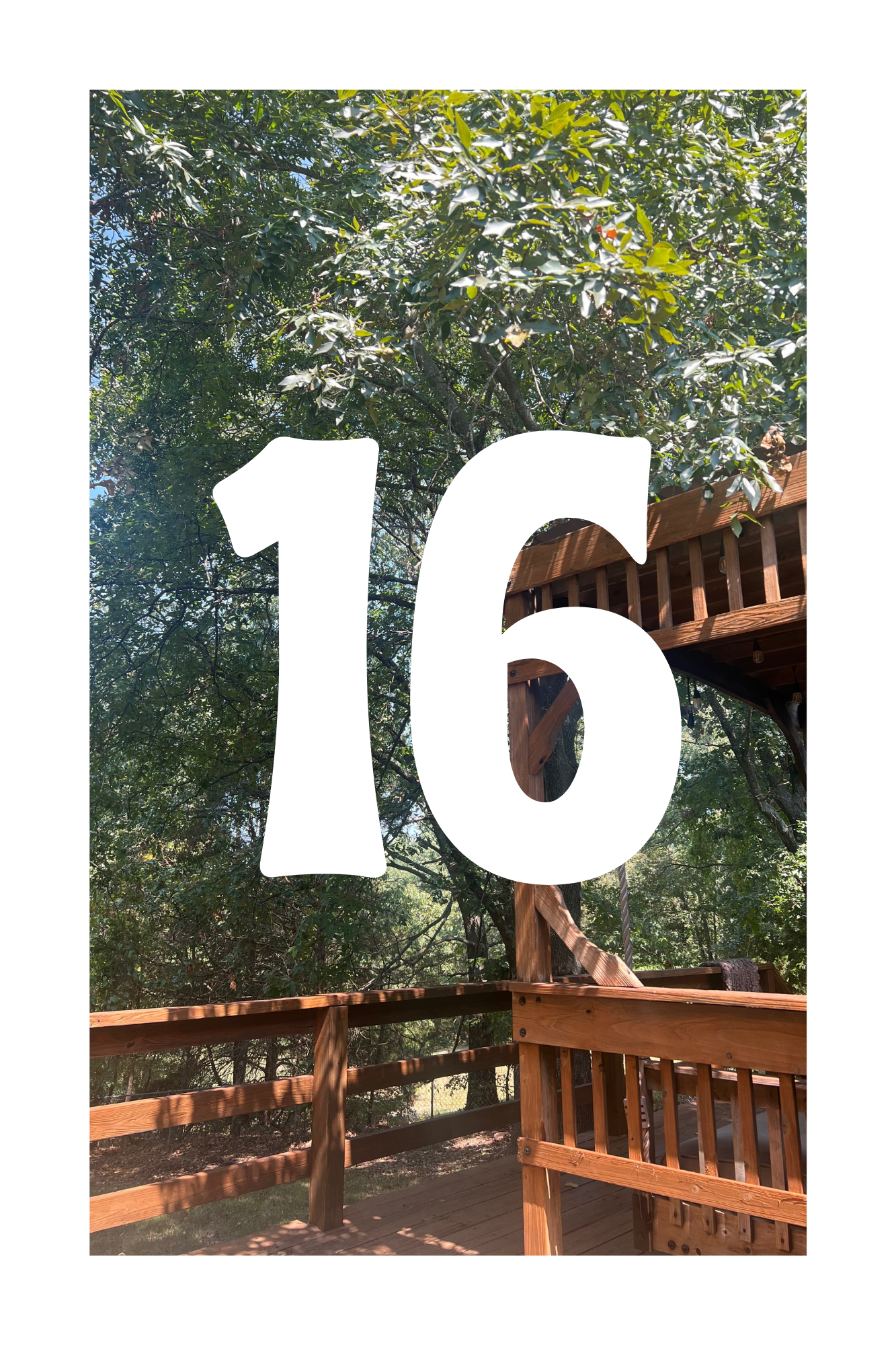 16.png