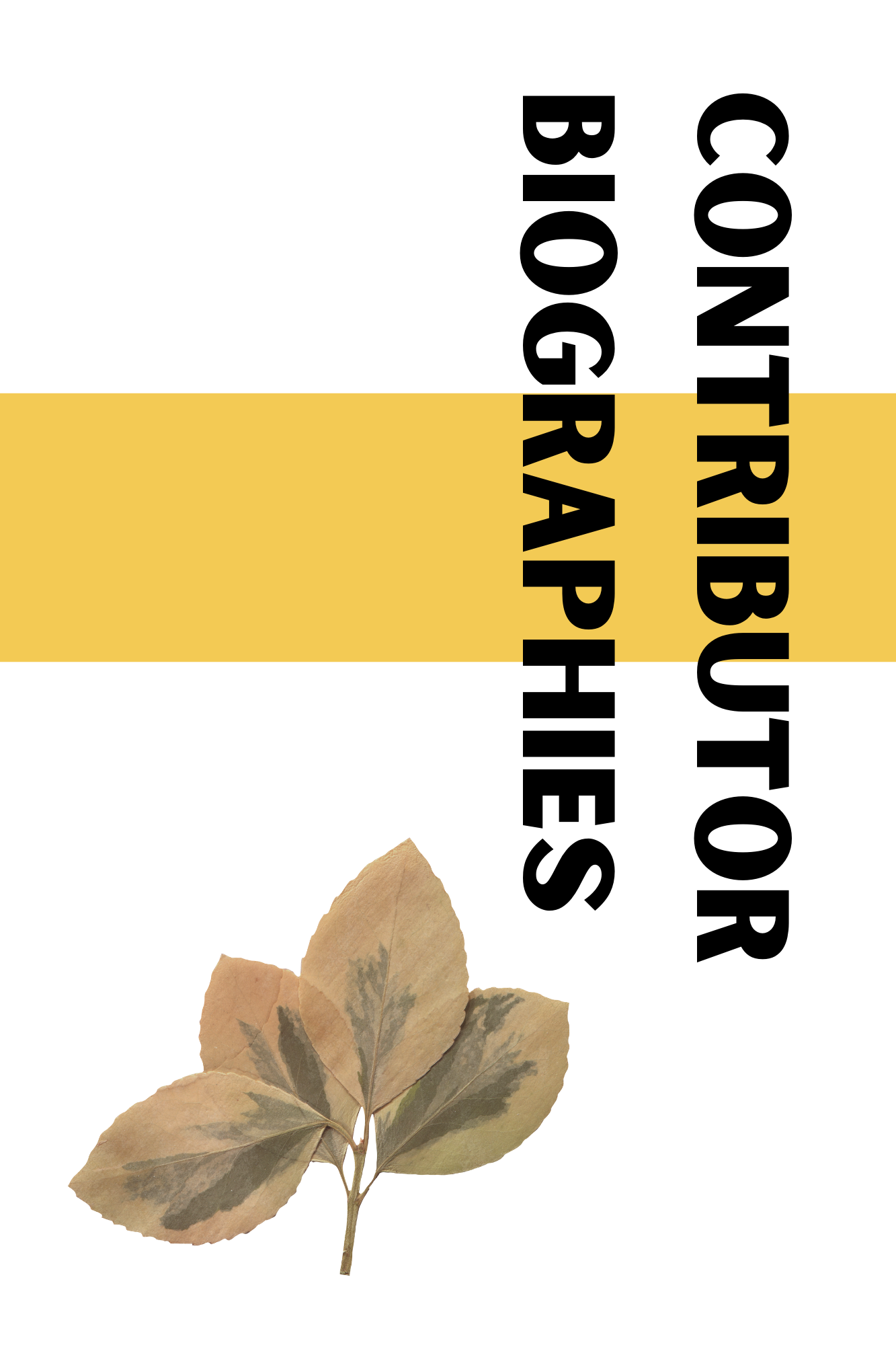 120.png