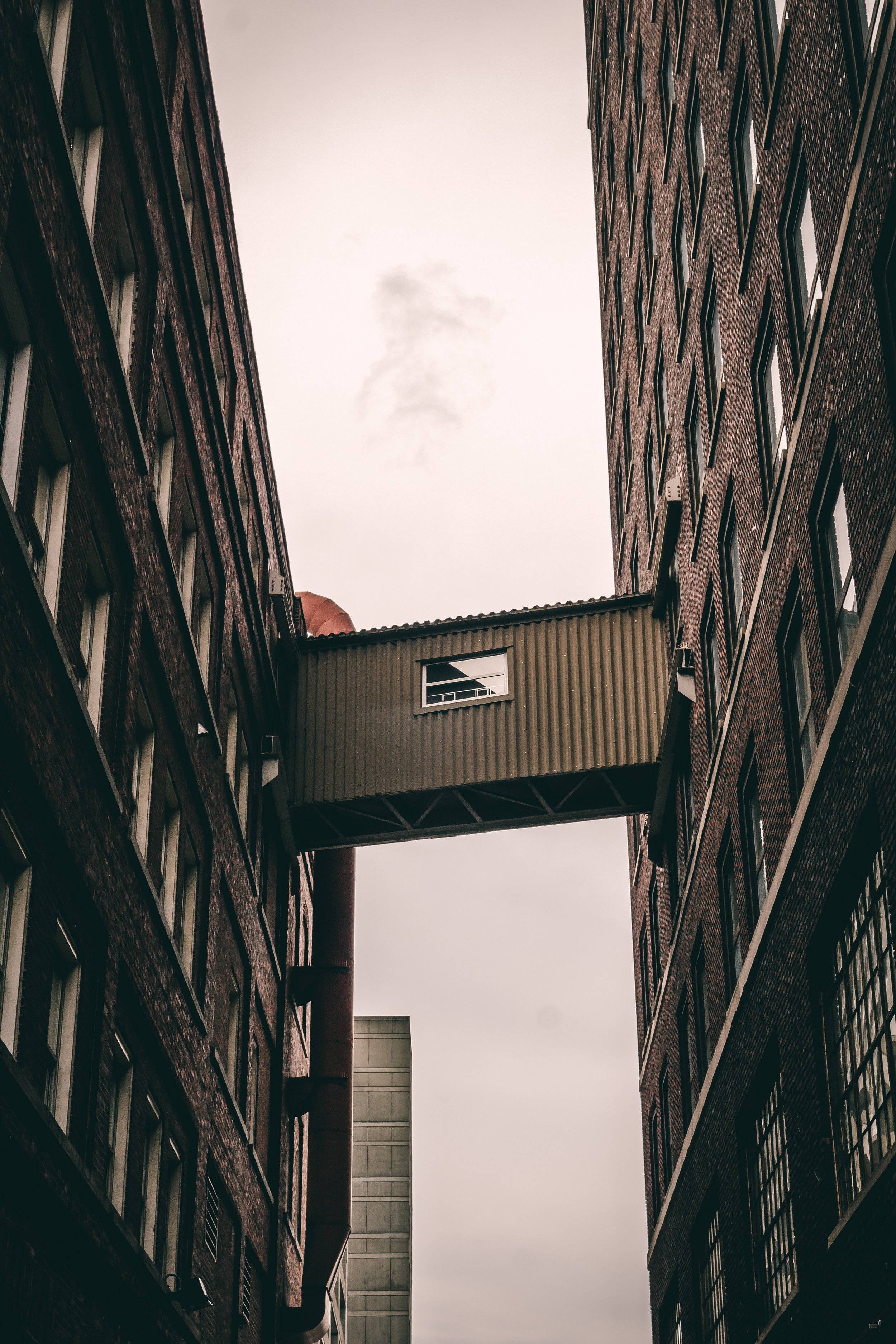 BRIDGE freddy-do-1457346-unsplash.jpg