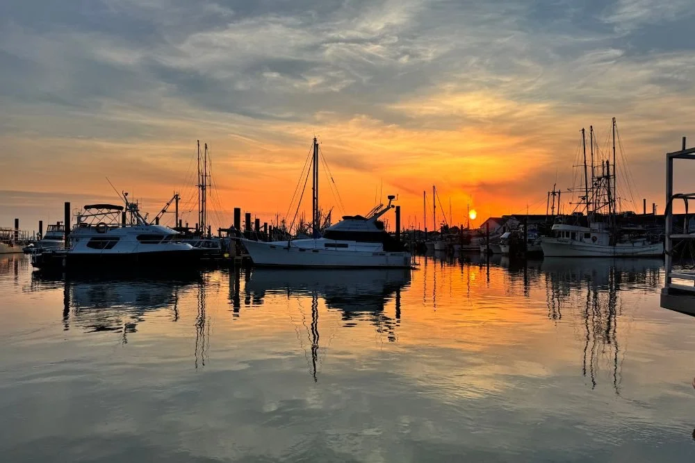 Perfect Pizza Picnic Spots in Steveston Village