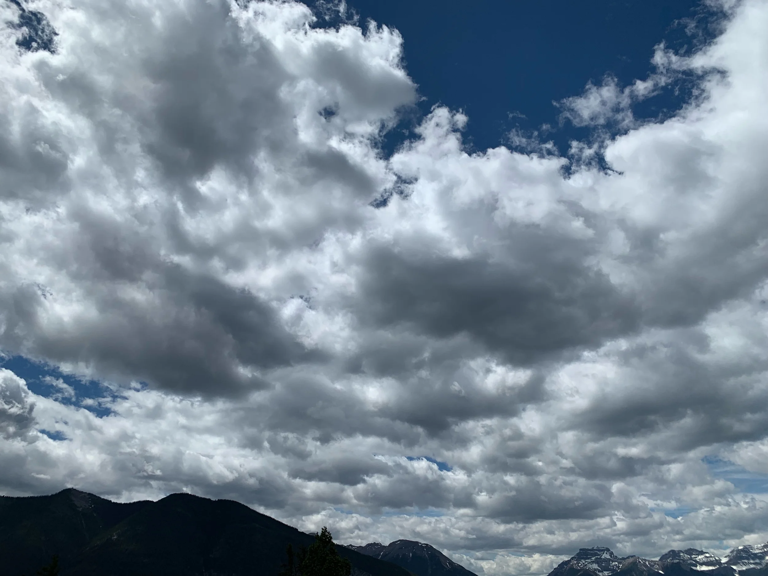 IMG_1398.jpeg