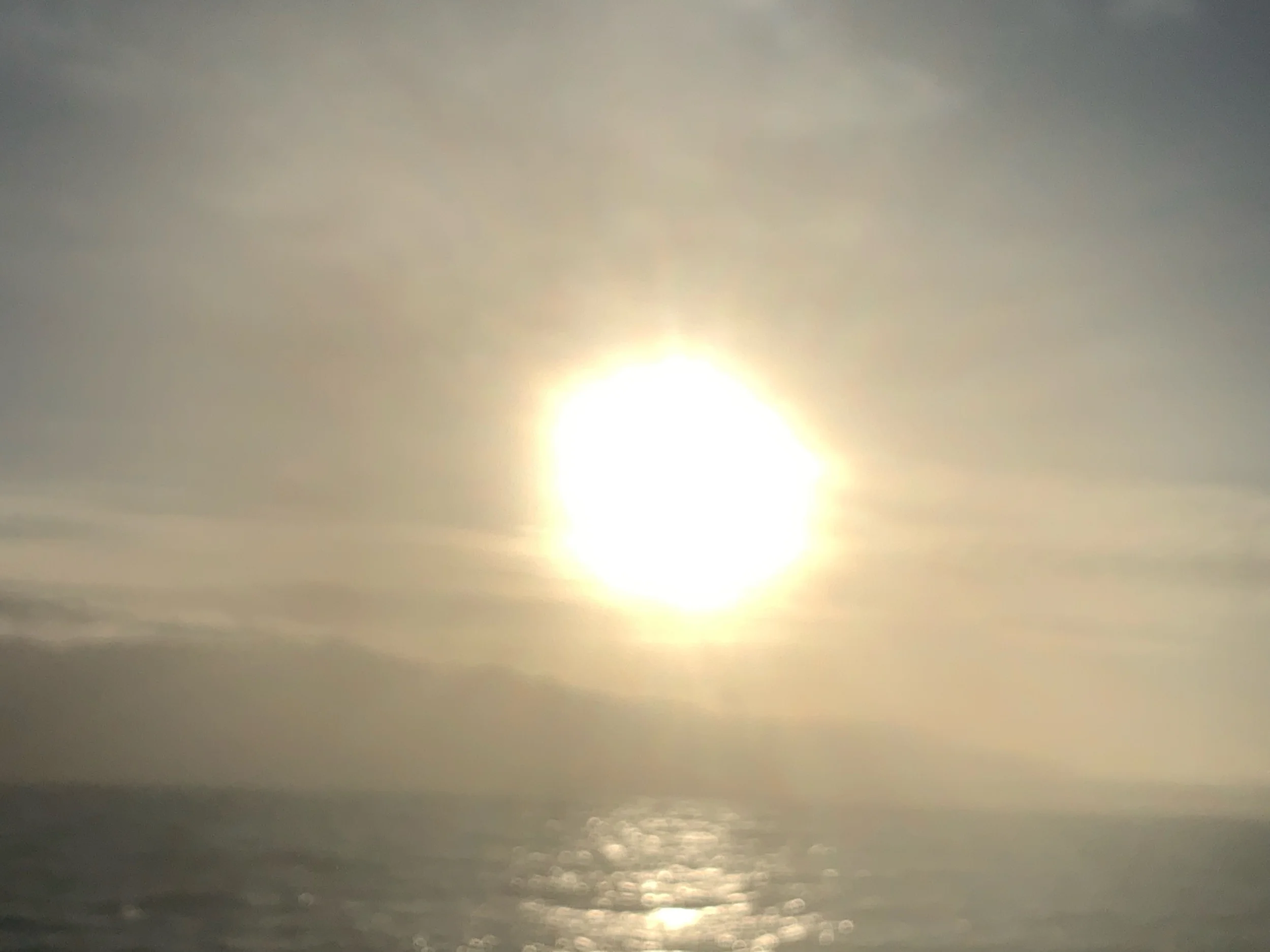 IMG_1890.jpeg