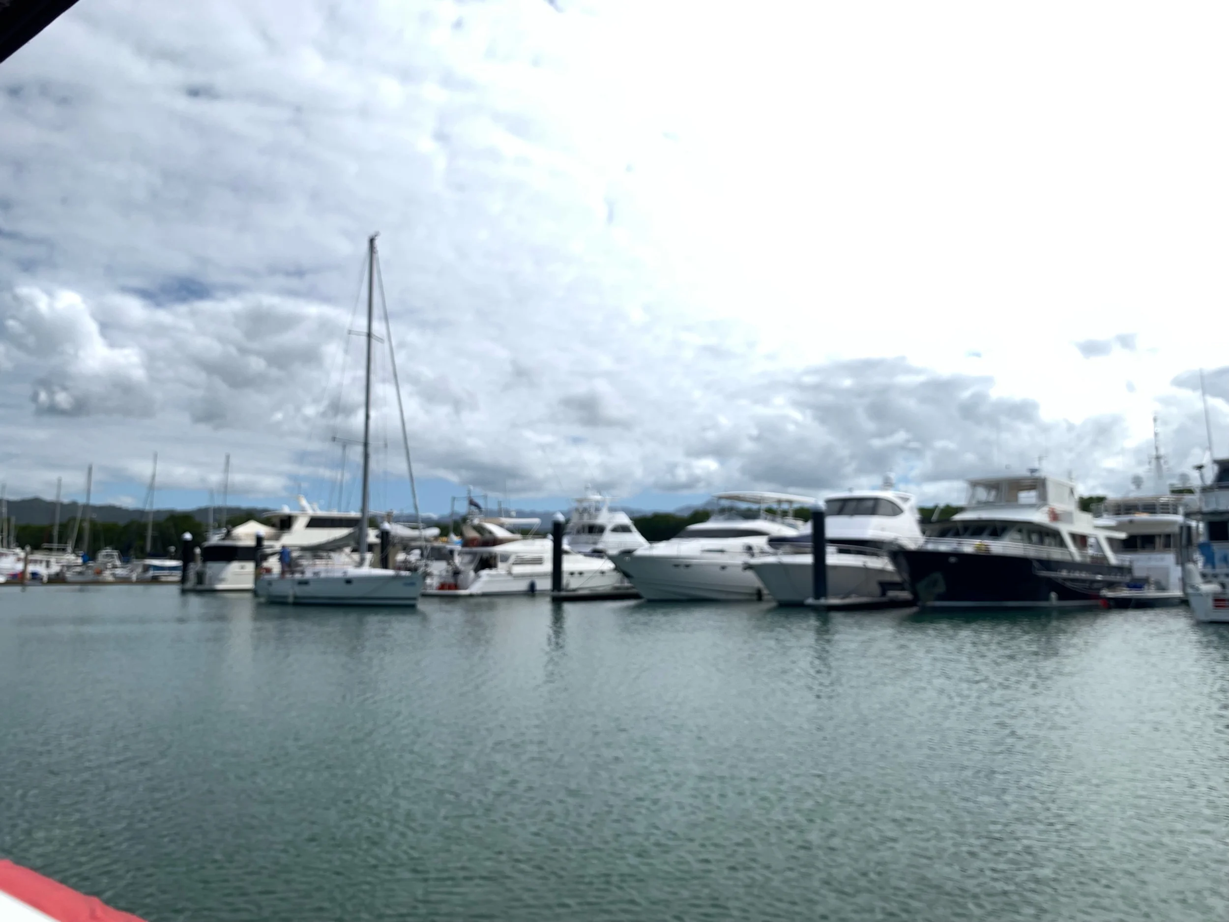 IMG_1981.jpeg