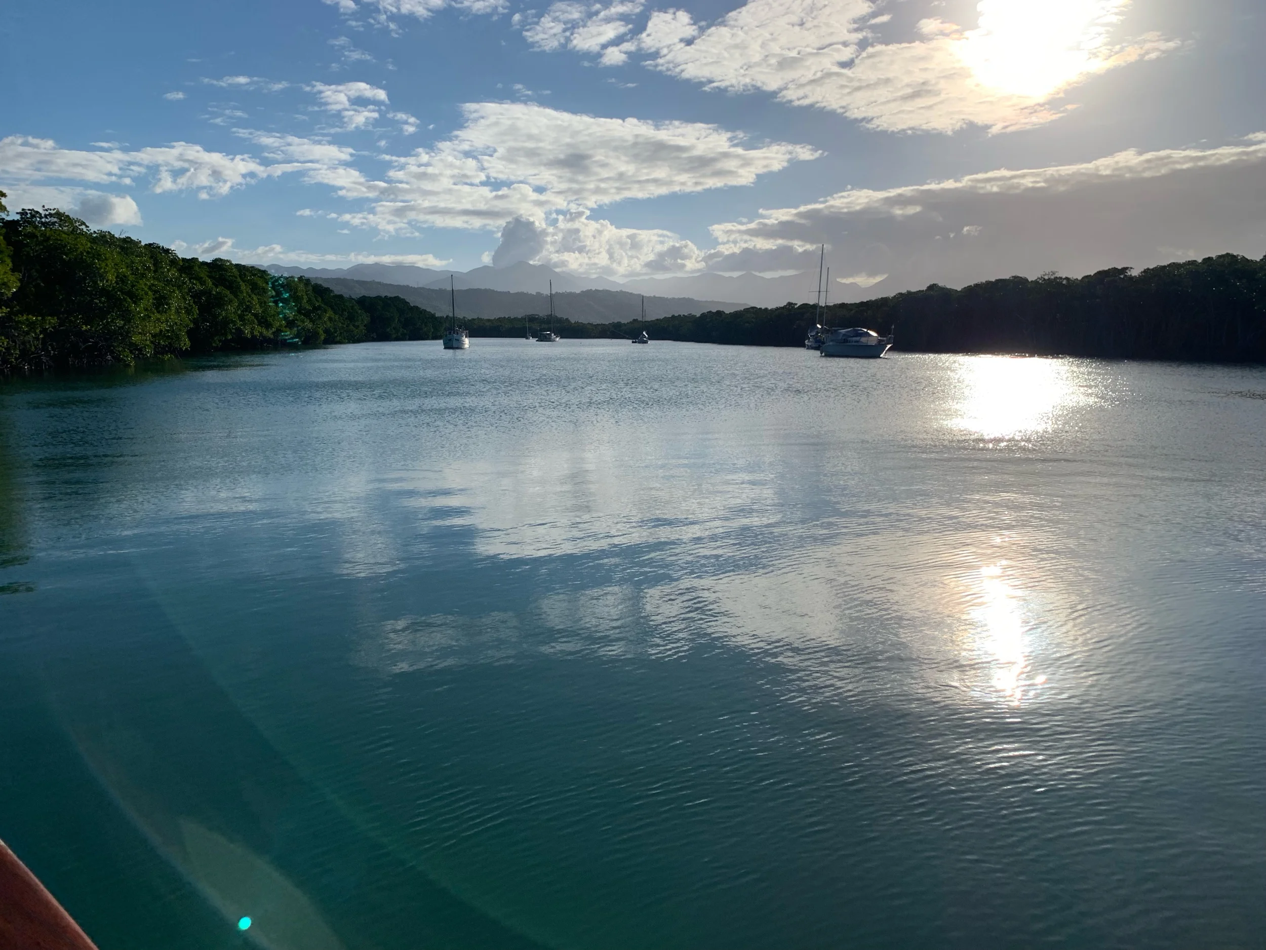 IMG_2019.jpeg