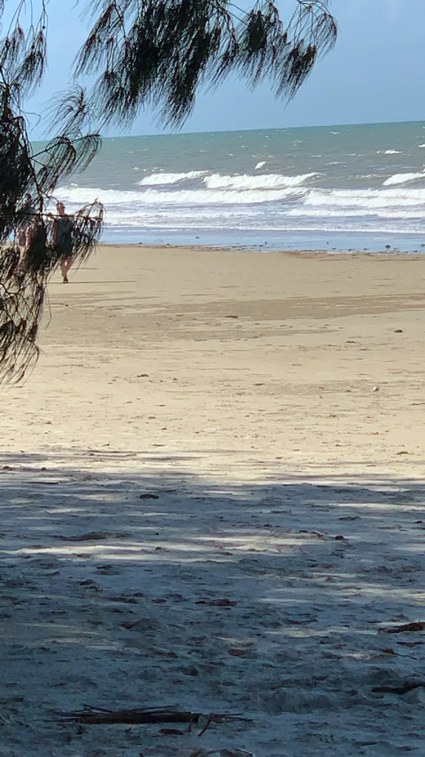 IMG_8307.jpeg