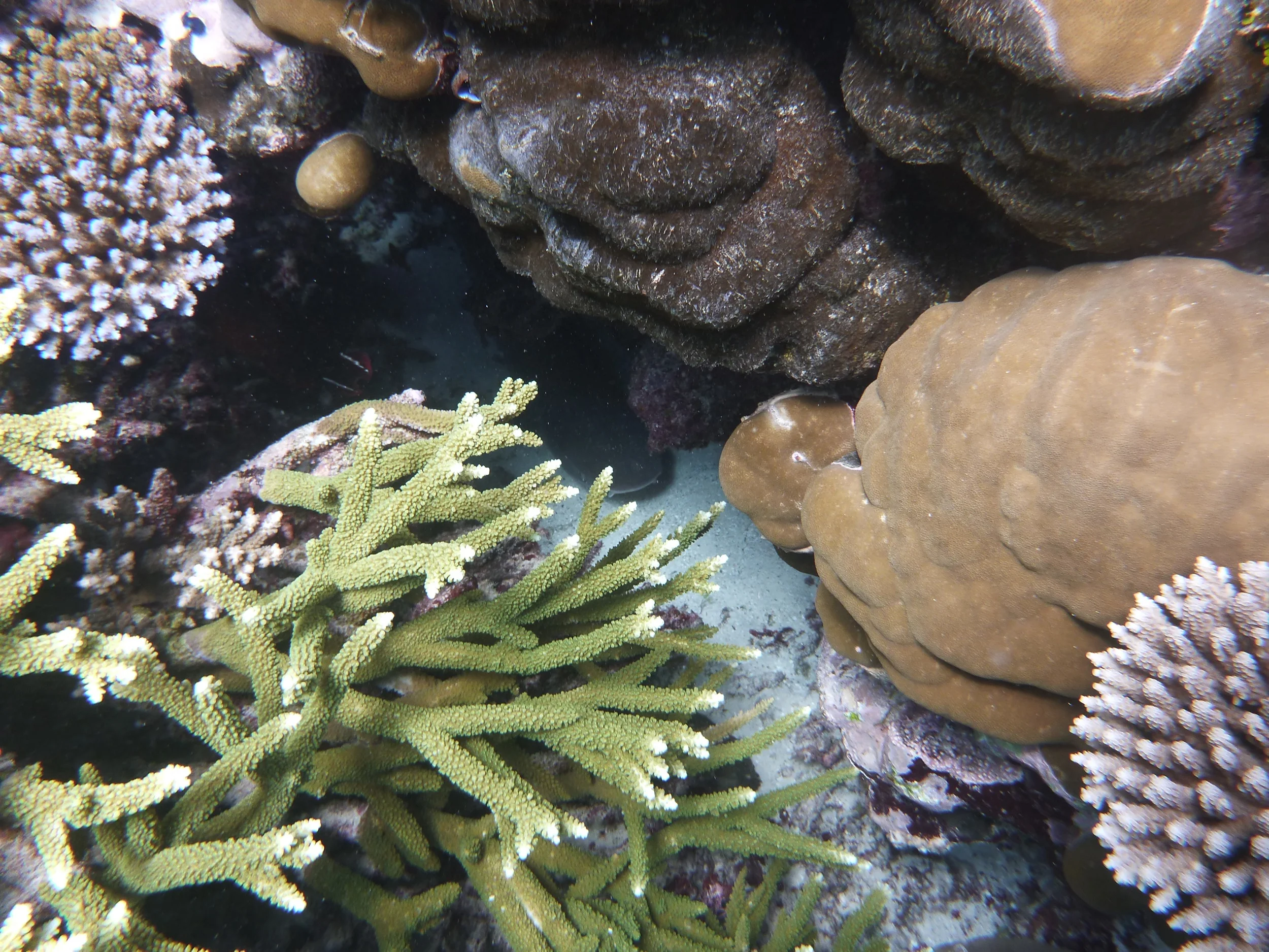 P1240146.jpeg