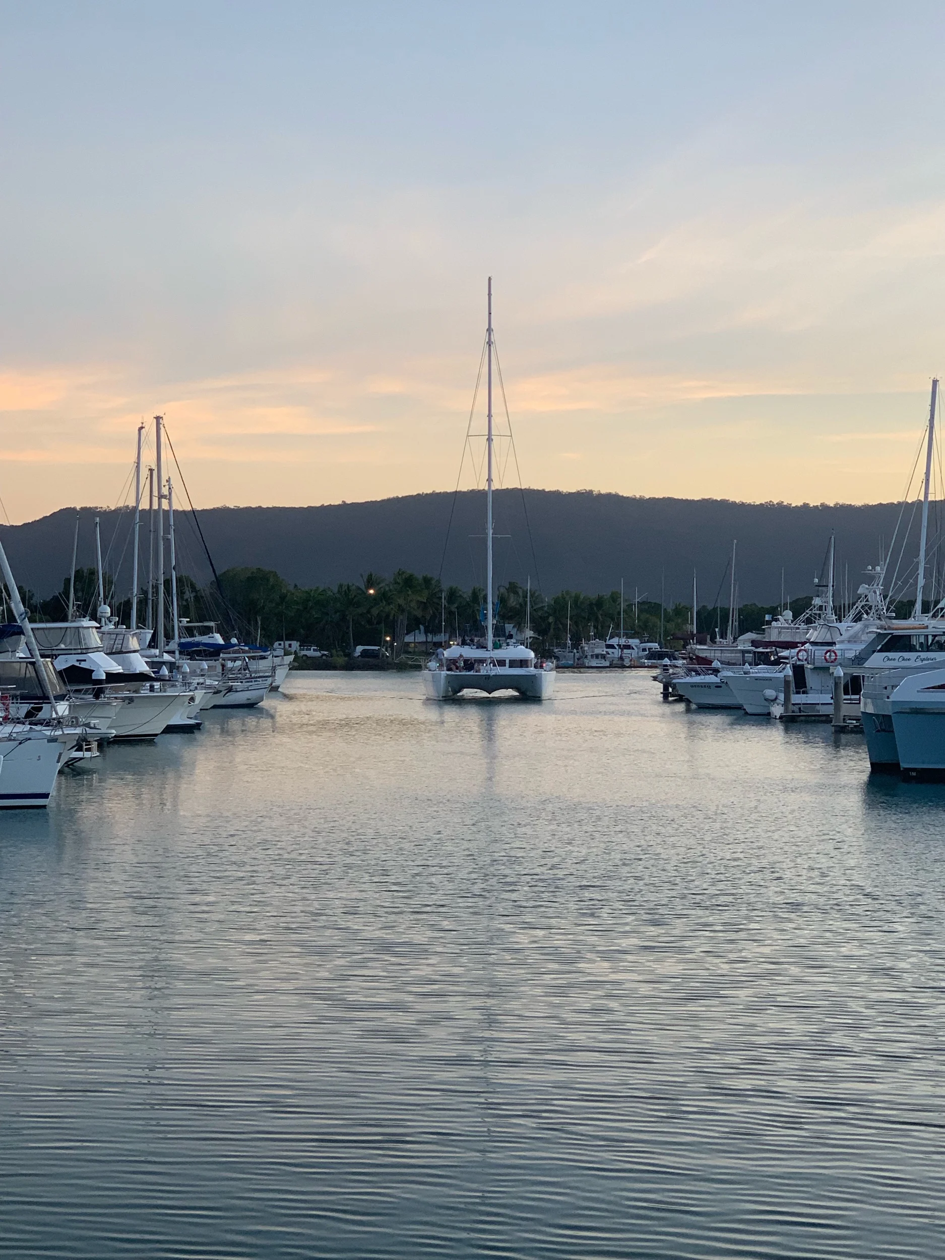 IMG_2076.jpeg