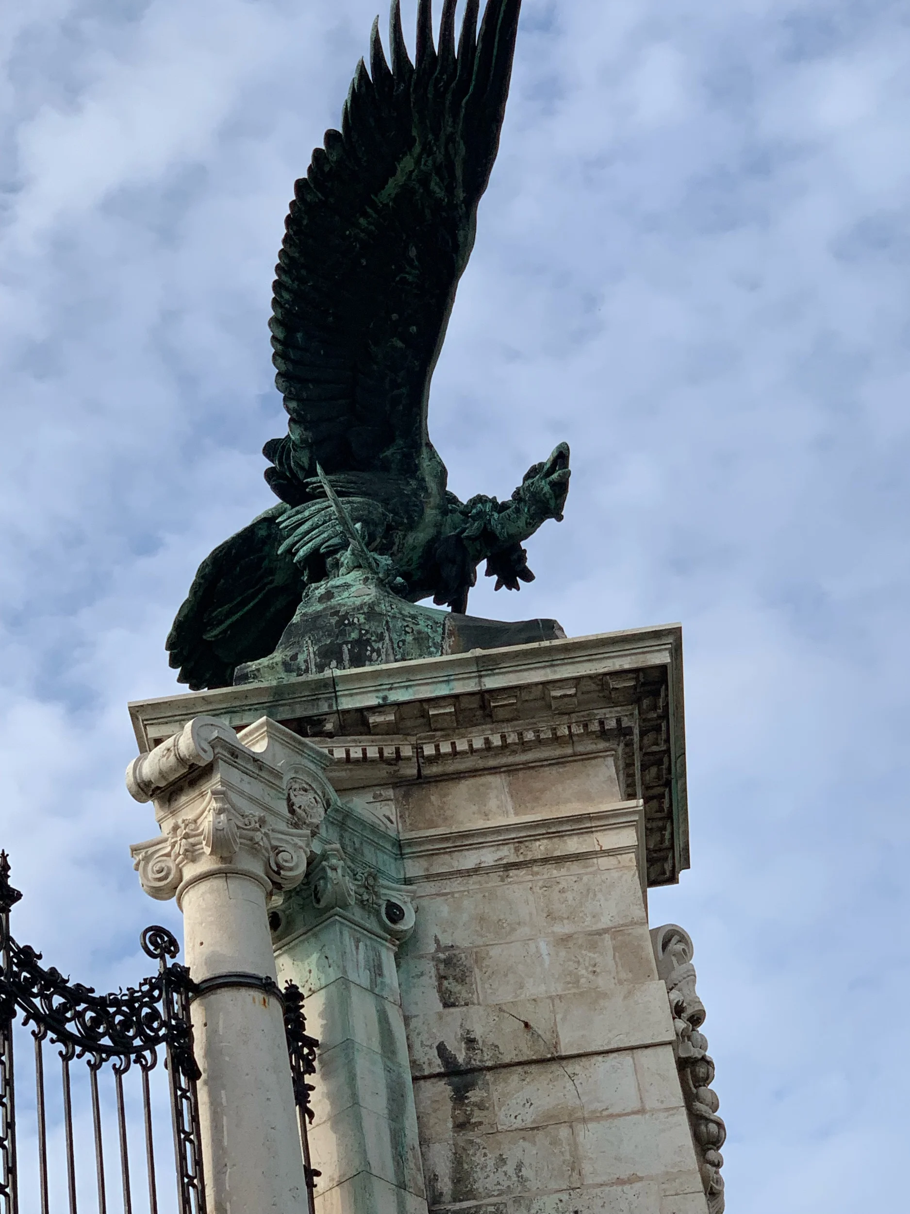 IMG_8553.jpeg