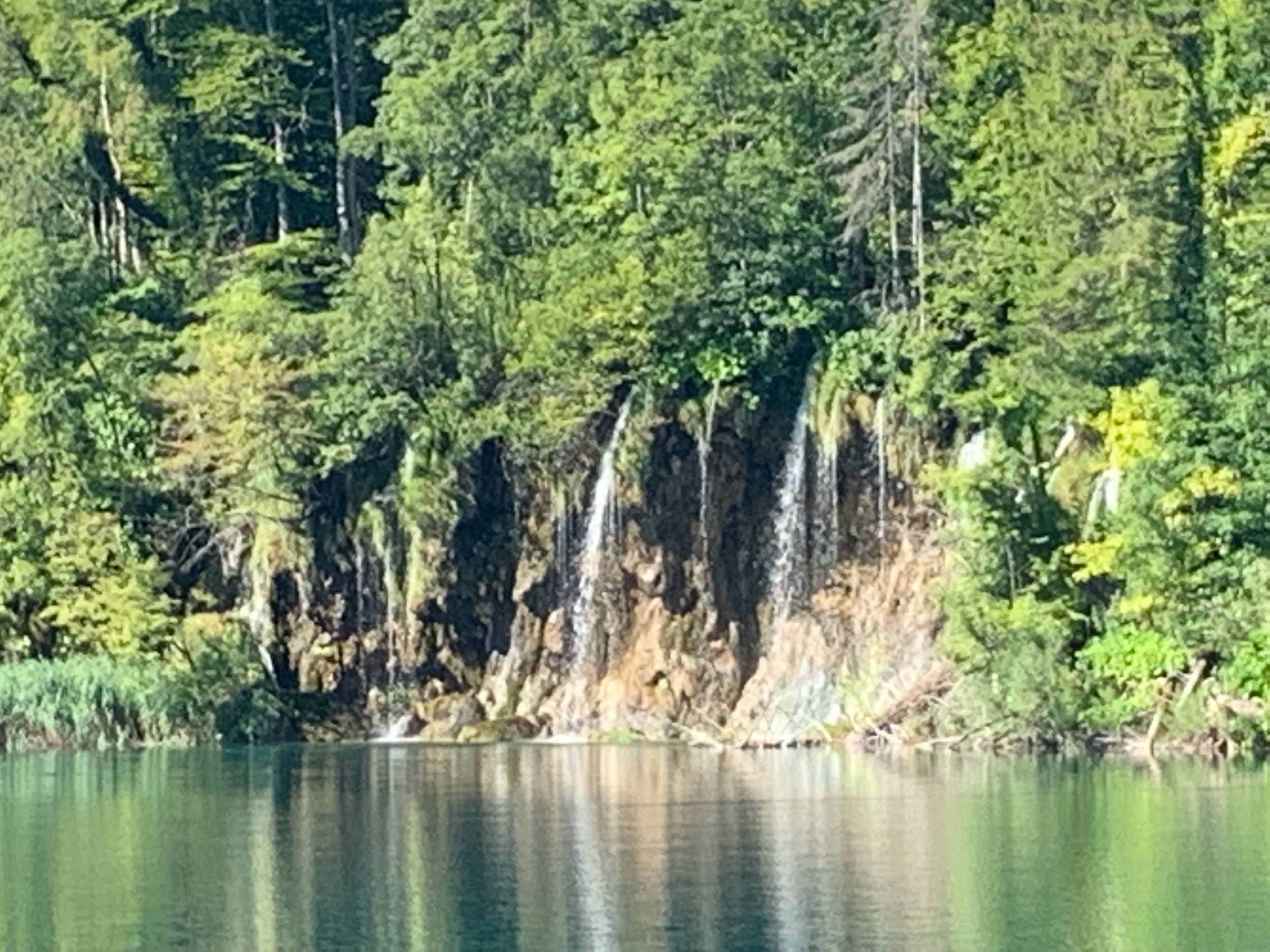 IMG_0979.jpeg