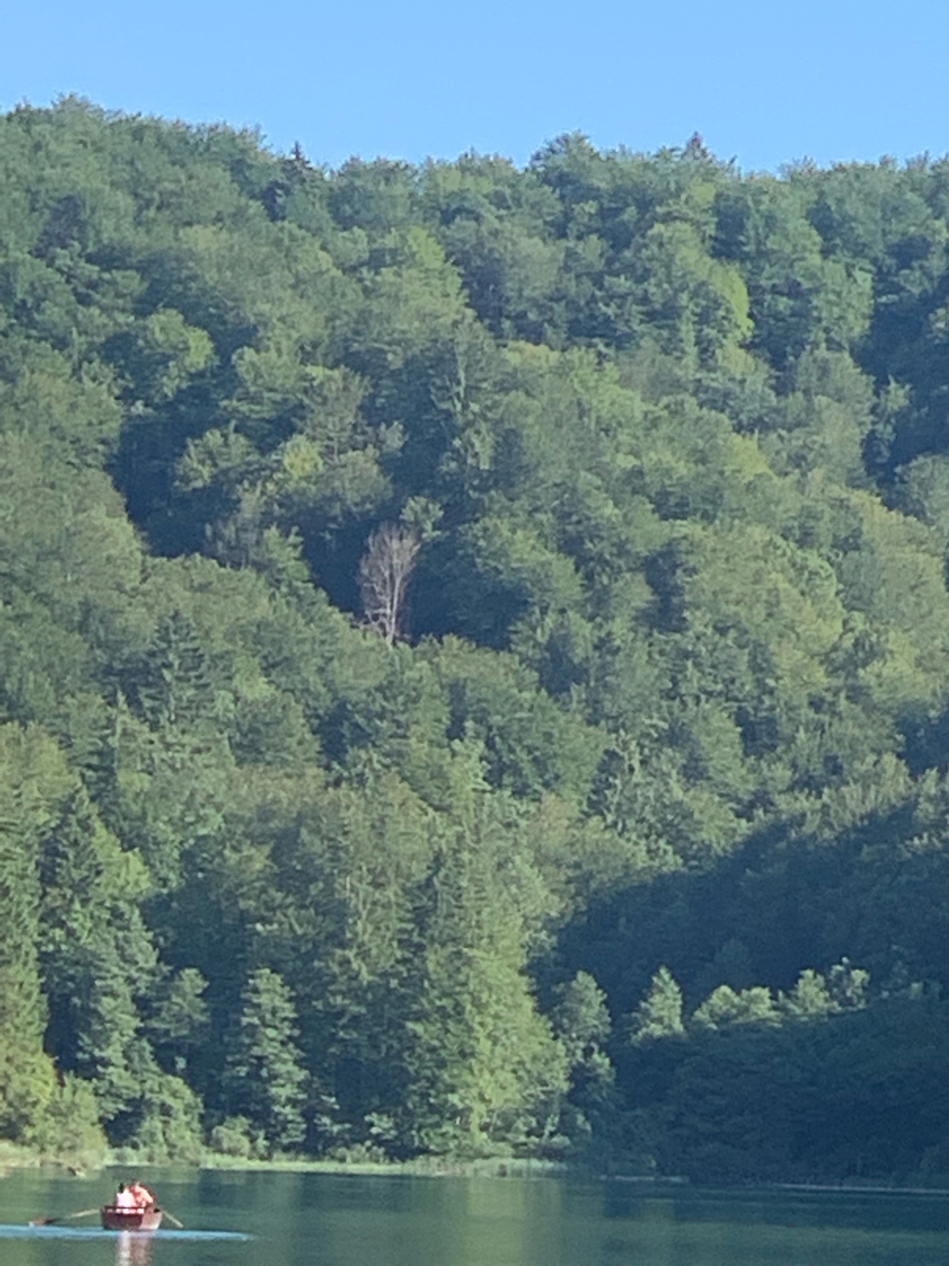 IMG_6085.jpeg