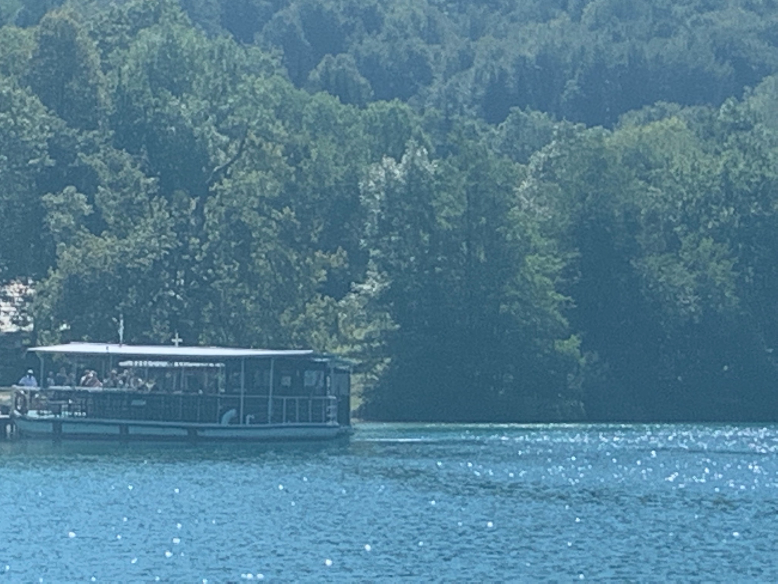 IMG_1642.jpeg