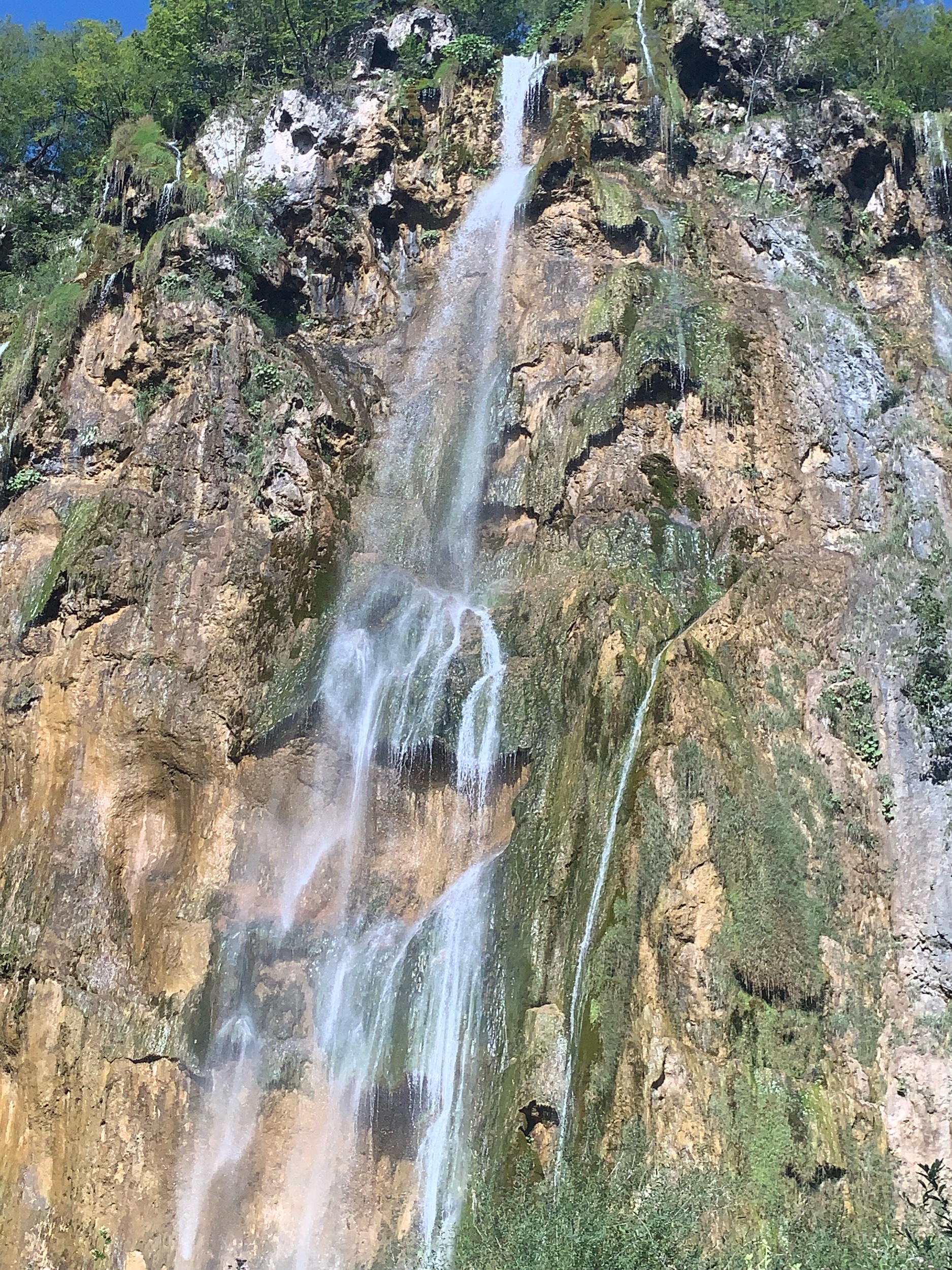 IMG_1625.jpeg
