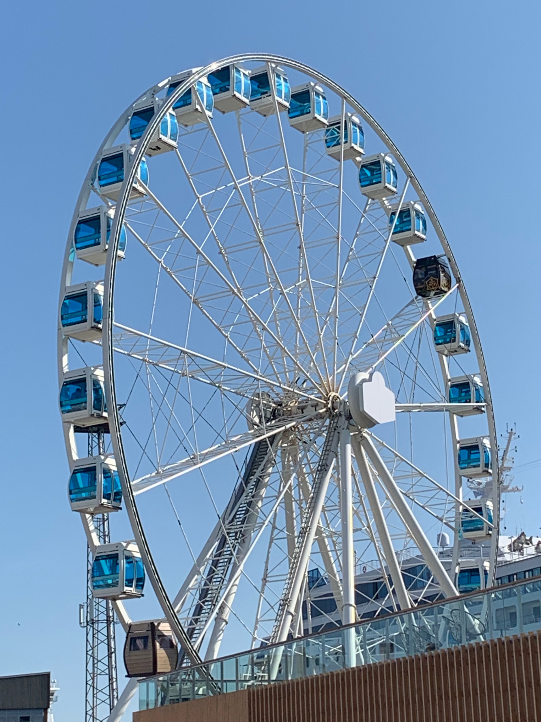 IMG_8929.jpeg