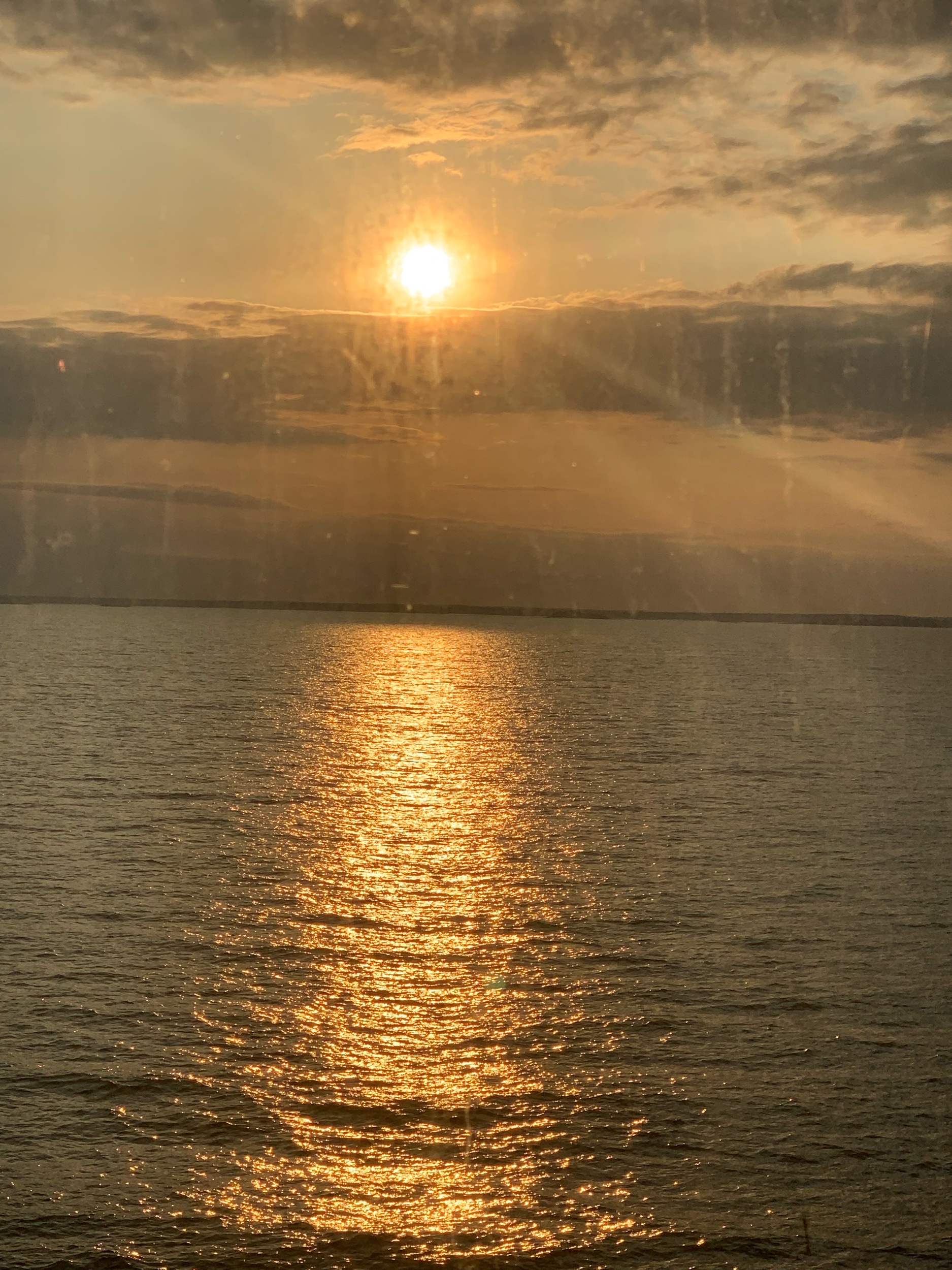 IMG_6129.jpeg